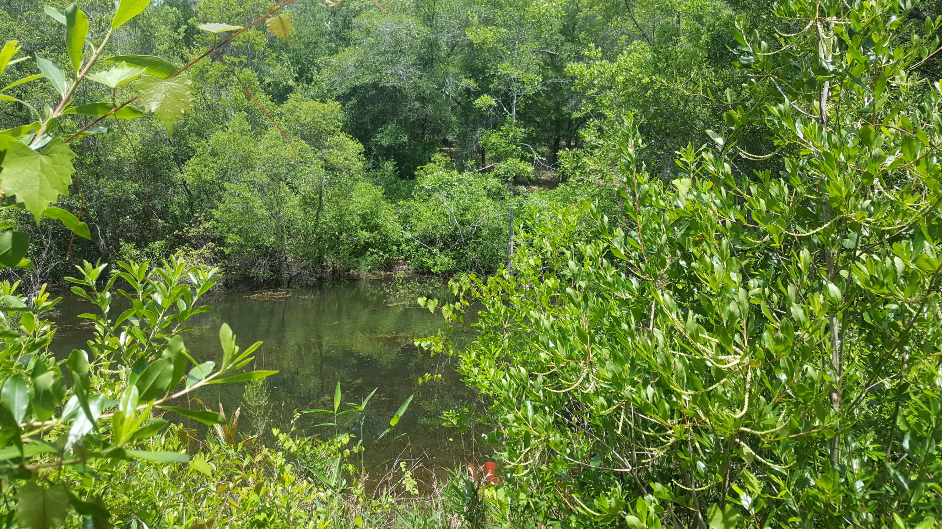 WATERFRONT ON HINOTE - Land