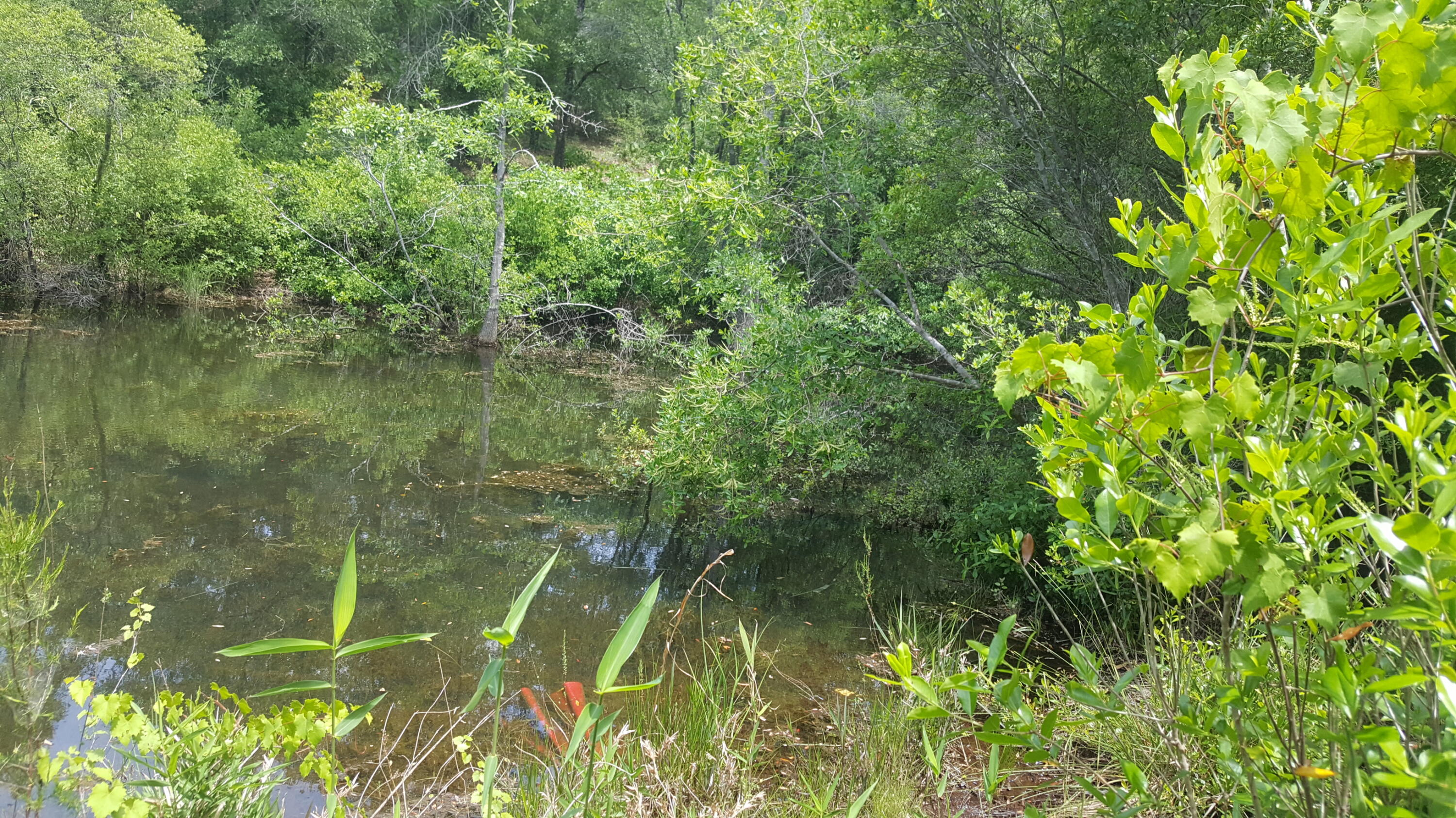 WATERFRONT ON HINOTE - Land