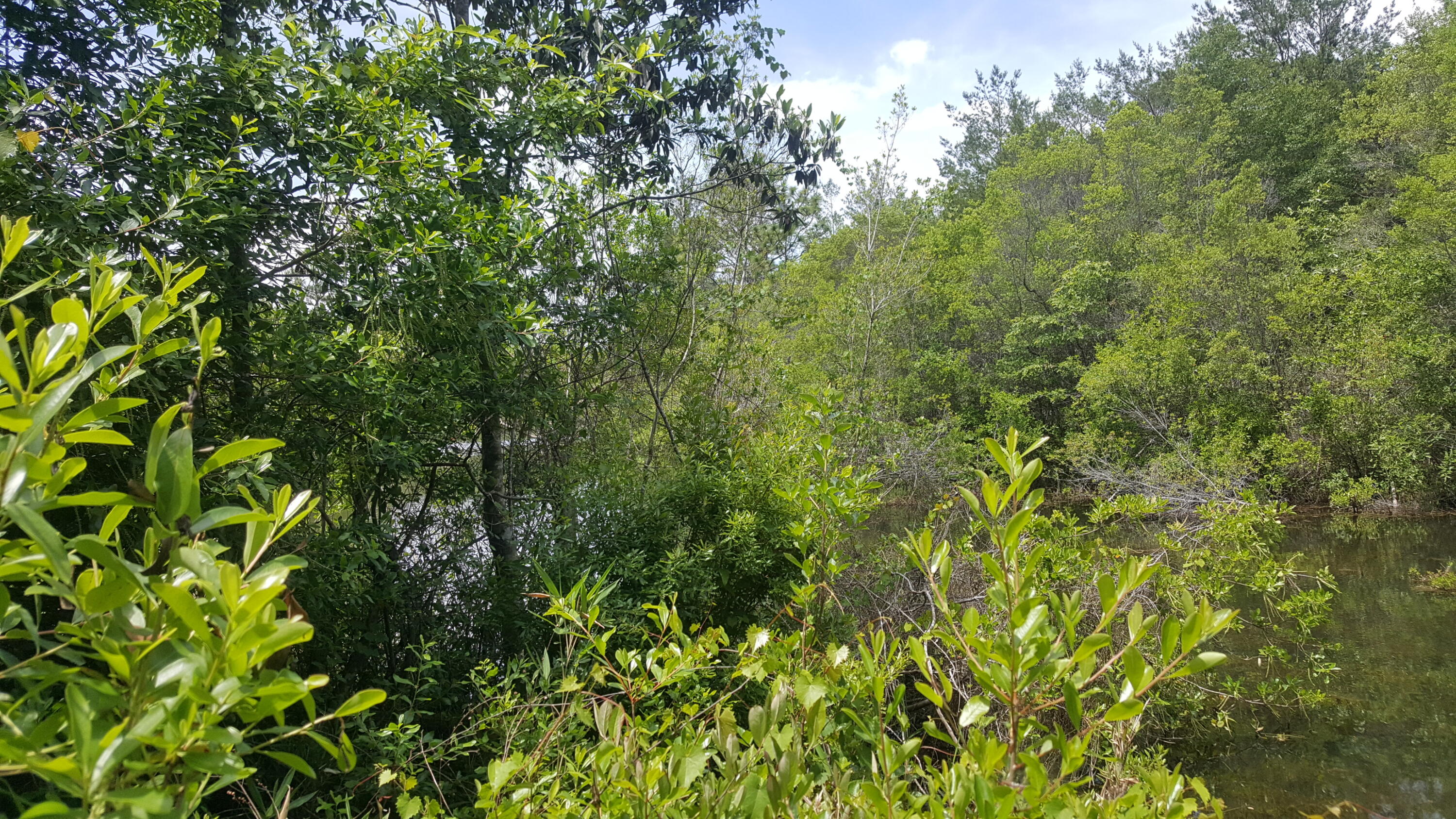WATERFRONT ON HINOTE - Land