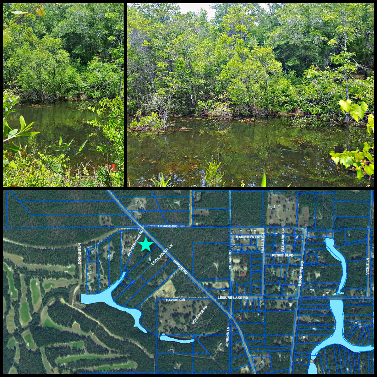 SELLER OFFERS BUYER INCENTIVE WITH THIS LAKEFRONT LOT with 4.04 Acres located on Hinote Rd, a Walton County paved road with access to electricity and water. Give us a call for details. Zoned Rural Residential Parcel strategically located approximately 1.6 miles from Blackstone Golf Course and Mossyhead Elementary School, 1.5 miles from I-10 exit 70, 8.5 miles from Emerald Coast Zoo, 32 miles from Eglin AFB, and only 30 minutes to the beautiful beaches of the Emerald Coast! This one is a must see! *All mileage is approximate. Buyer to verify all information.