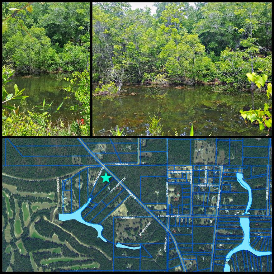 SELLER OFFERS BUYER INCENTIVE WITH THIS LAKEFRONT LOT with 4.04 Acres located on Hinote Rd, a Walton County paved road with access to electricity and water.  Give us a call for details.  Zoned Rural Residential Parcel strategically located approximately 1.6 miles from Blackstone Golf Course and Mossyhead Elementary School, 1.5 miles from I-10 exit 70, 8.5 miles from Emerald Coast Zoo, 32 miles from Eglin AFB, and only 30 minutes to the beautiful beaches of the Emerald Coast! This one is a must see! *All mileage is approximate. Buyer to verify all information.