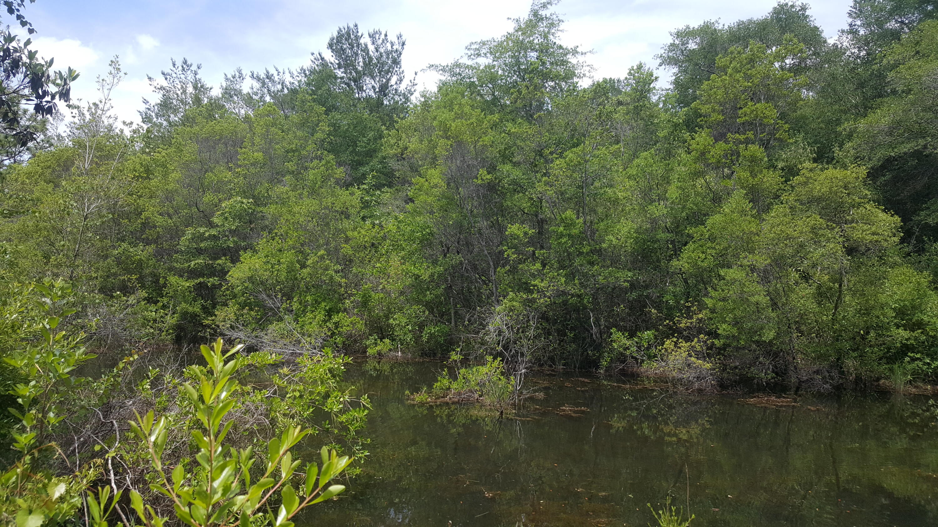 WATERFRONT ON HINOTE - Land