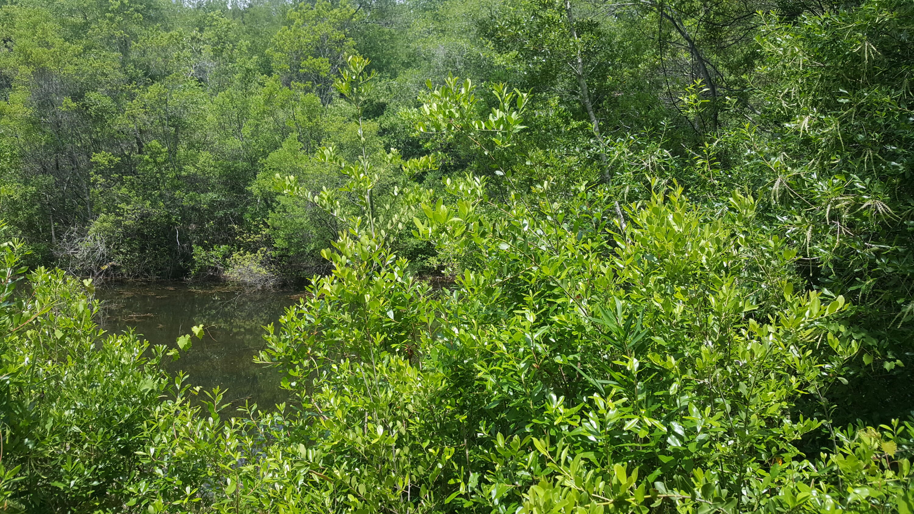 WATERFRONT ON HINOTE - Land