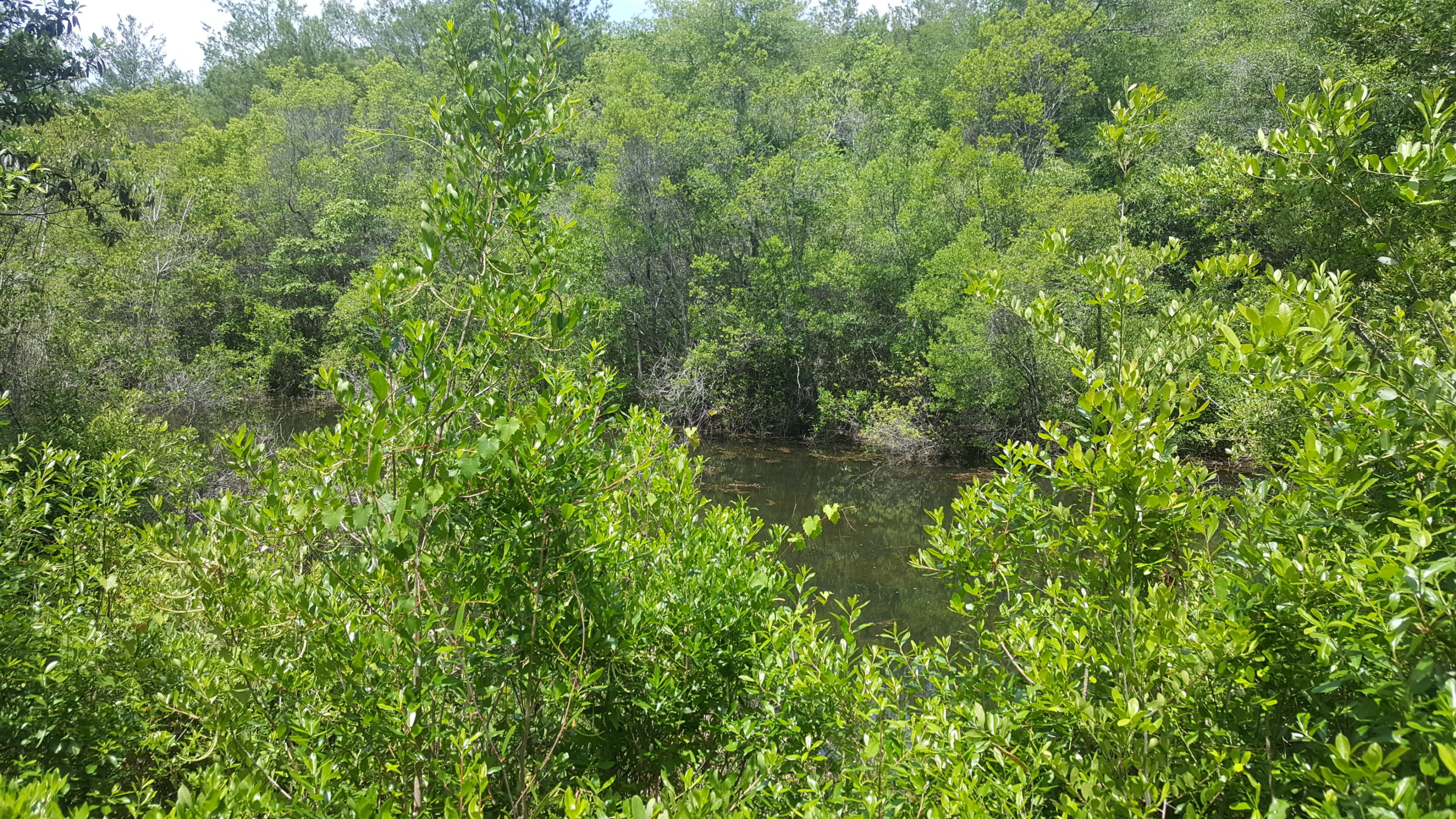 WATERFRONT ON HINOTE - Land
