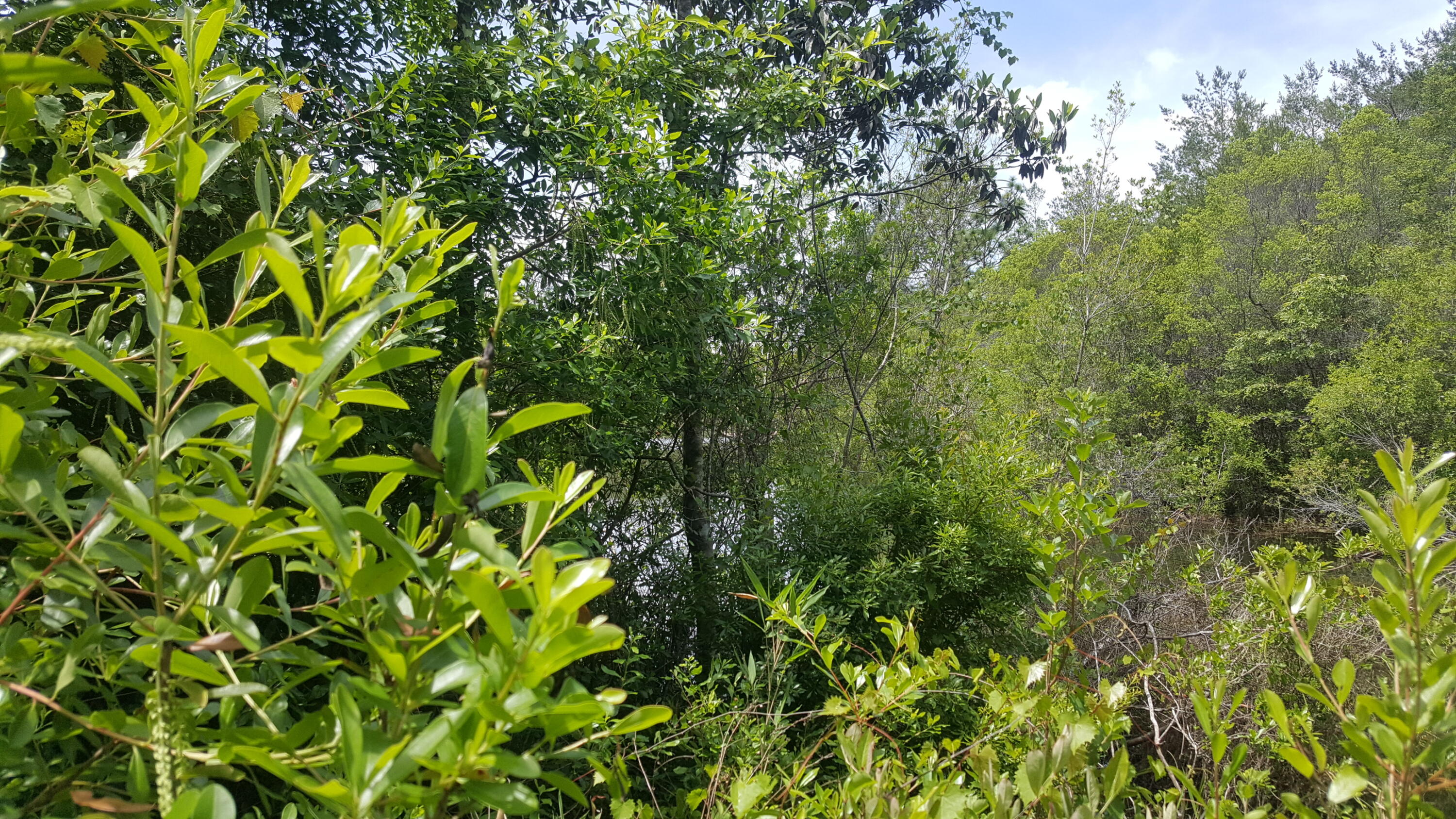WATERFRONT ON HINOTE - Land