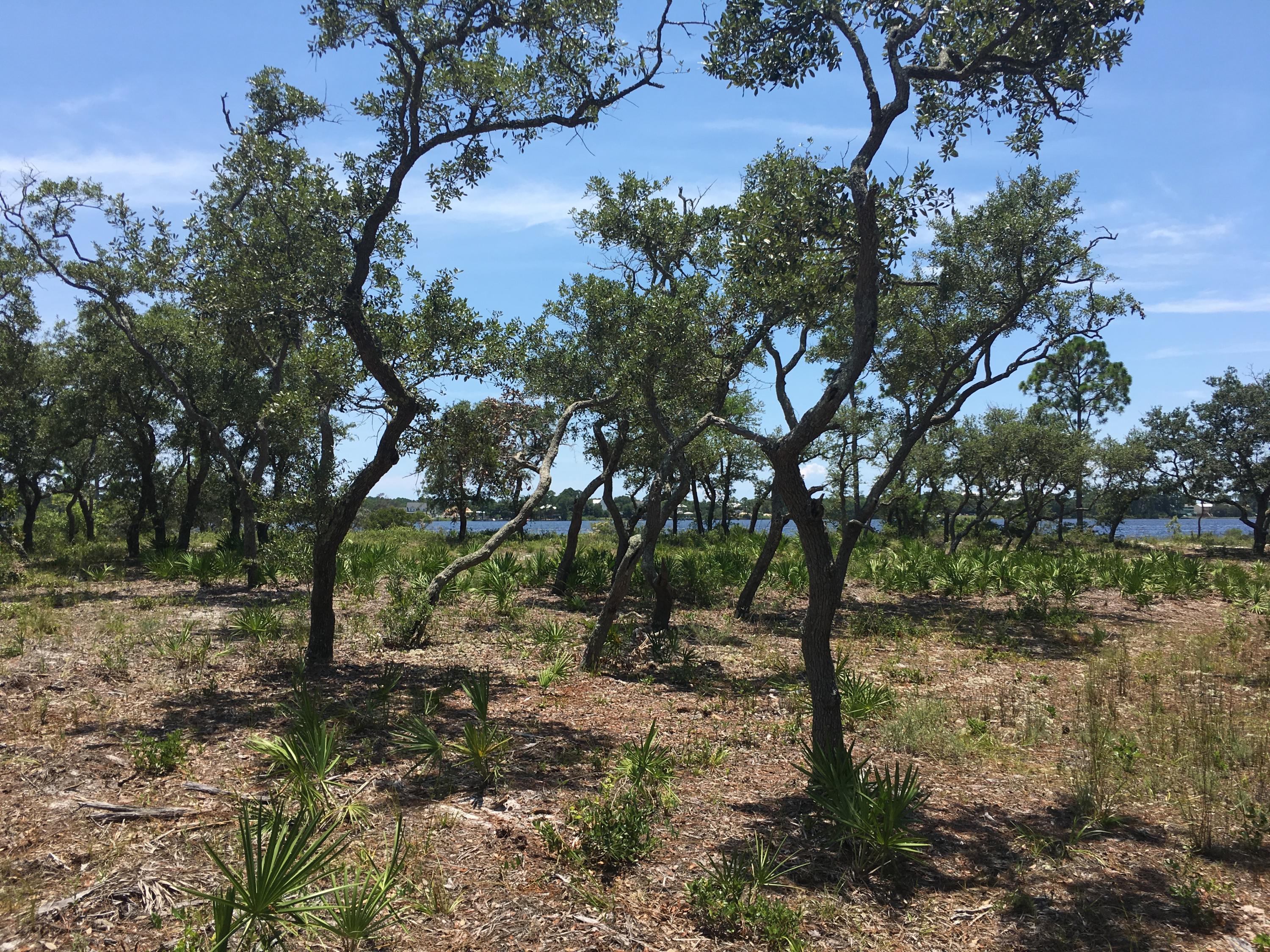 WILD HERON PHASE II - Land