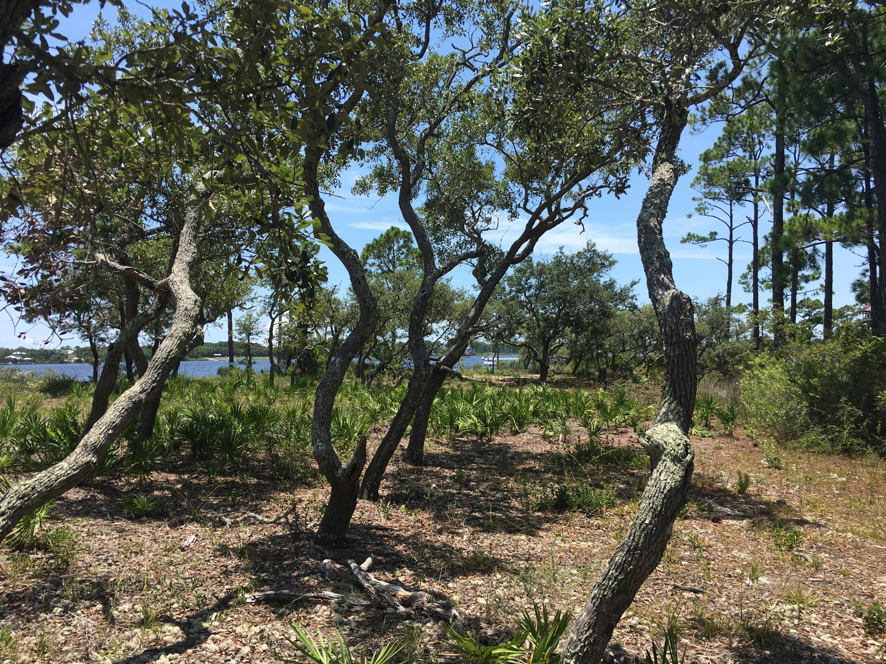 WILD HERON PHASE II - Land