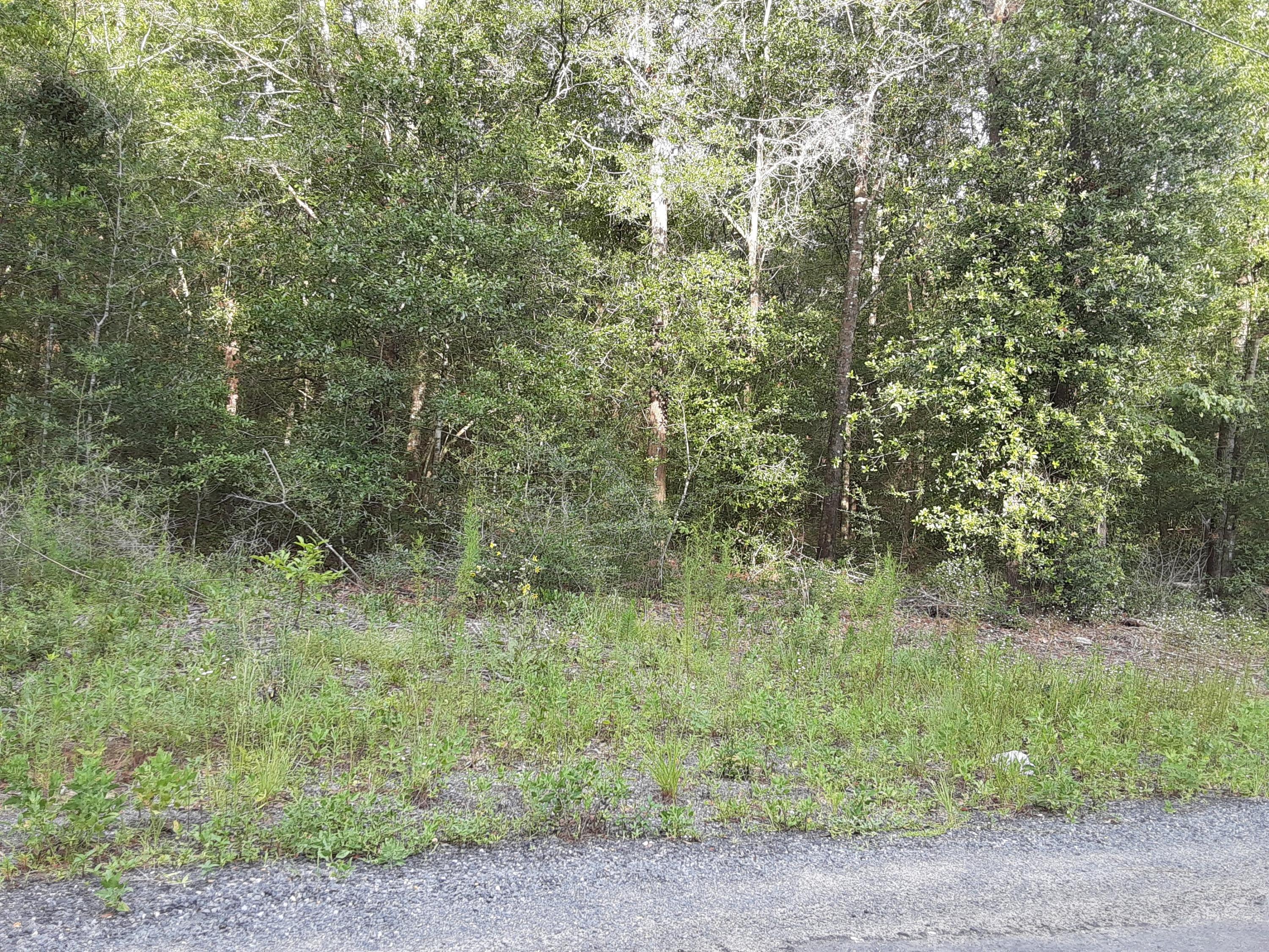 PLANTATIONS THE - Land