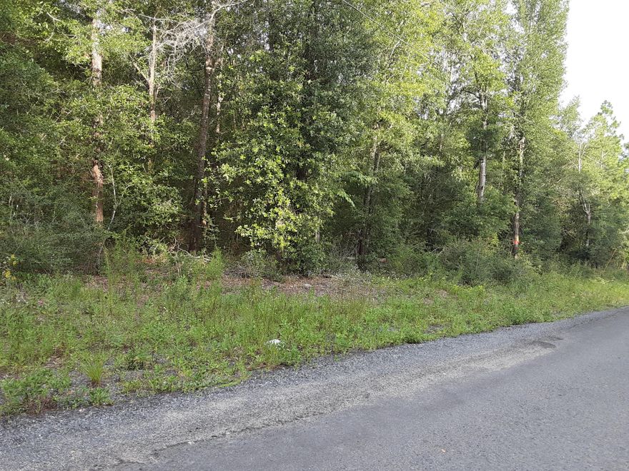 Lot to build your new home on. Mobile homes are allowed.. Level and close to town.