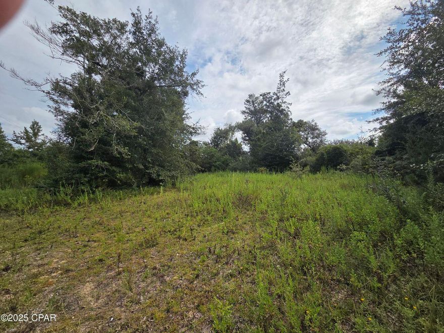 Imagine building your dream home on this beautiful 1.86 acre lot, perfectly tucked away in a peaceful, naturesque setting off John Pitts Road. With paved neighborhood roads and a serene creekfront location, you can enjoy the best of both worlds-tranquility and convenience. Relax in the natural surroundings, or cast a line from your private dock and catch dinner right in your backyard! Despite its quiet setting, the property is just 15-20 minutes from 23rd Street shopping, both major hospitals, and historic downtown Panama City. Lot needs a little clearing but is level and ready. Well and septic on the property and a power pole for electric. All information is approximate and should be verified by buyers if important.