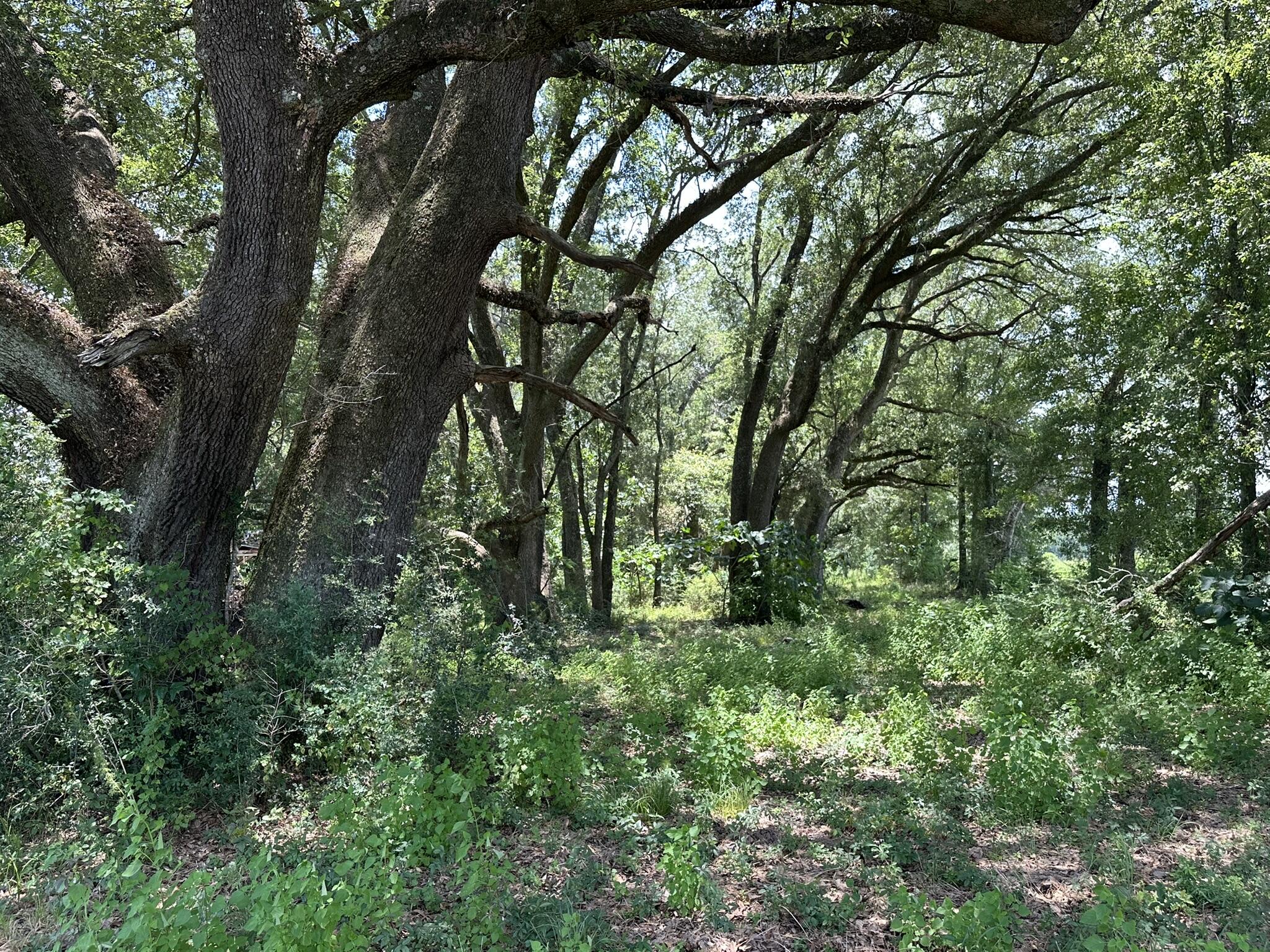NO RECORDED SUBDIVISION - Land