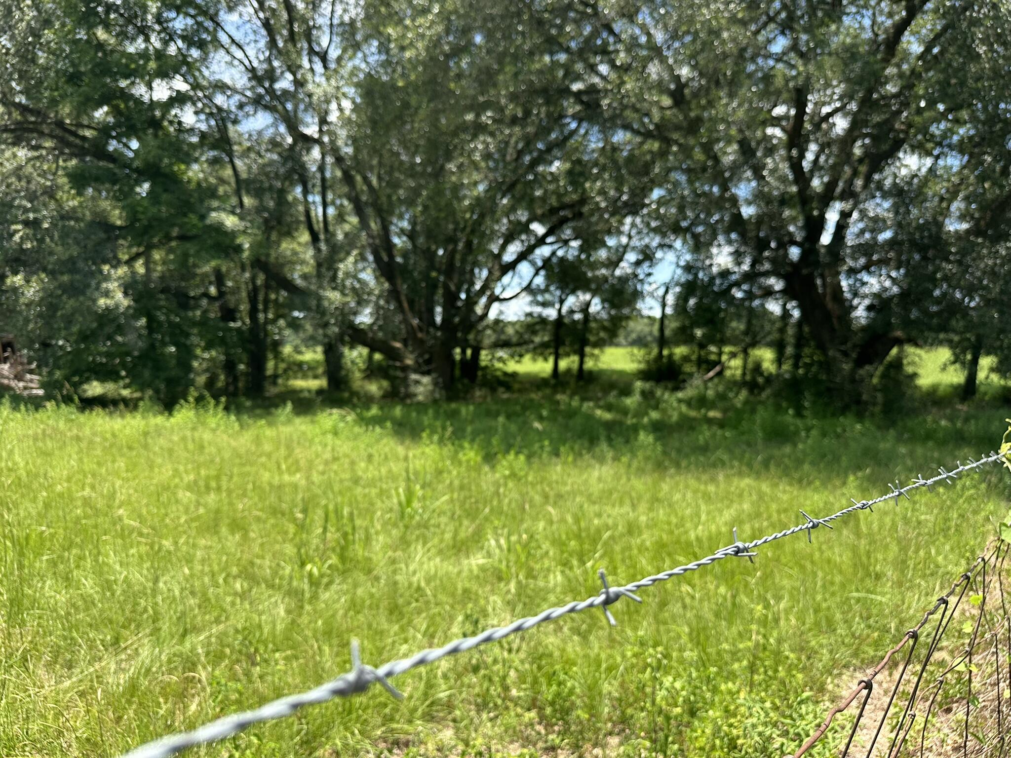 NO RECORDED SUBDIVISION - Land