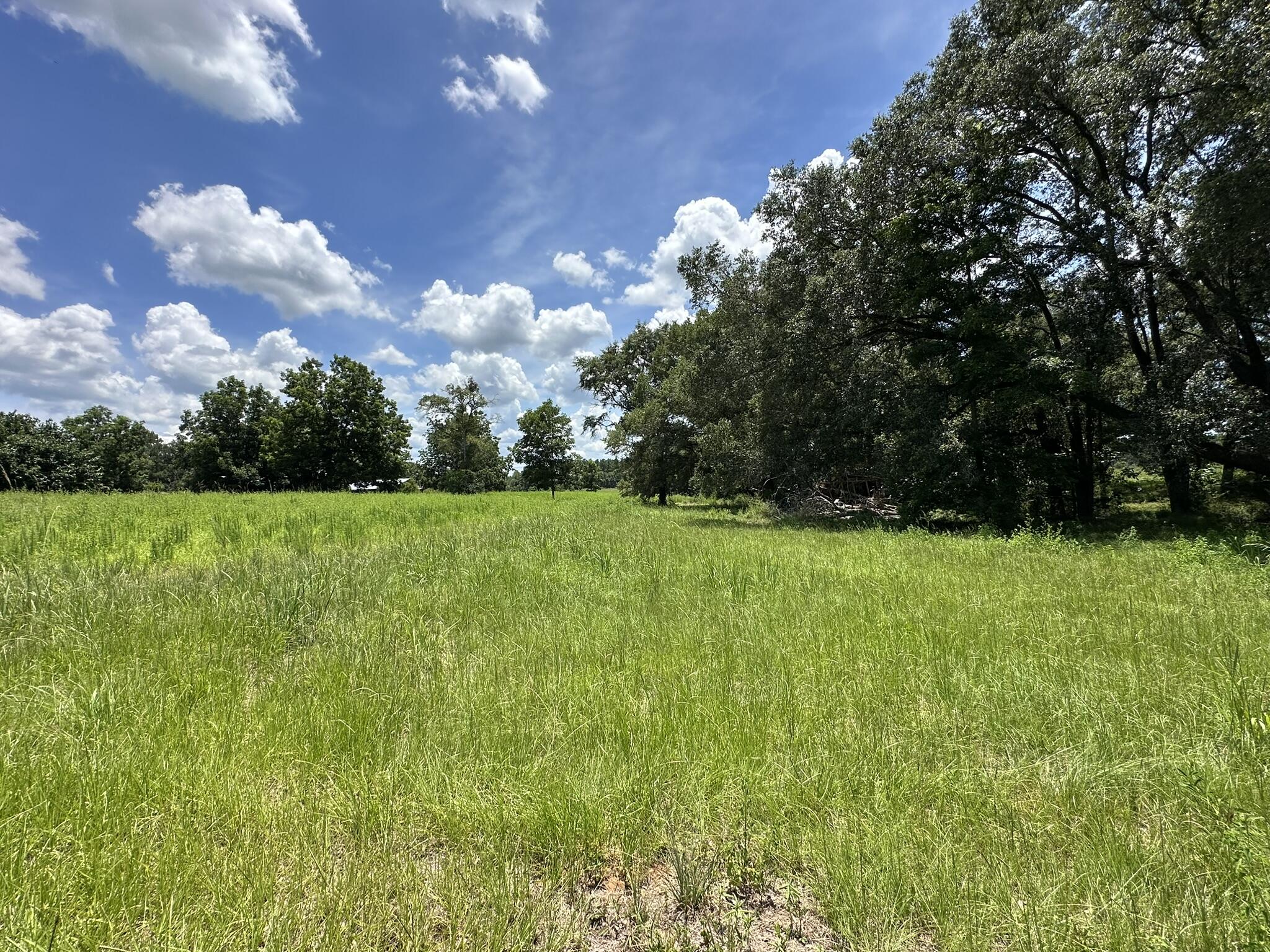 NO RECORDED SUBDIVISION - Land