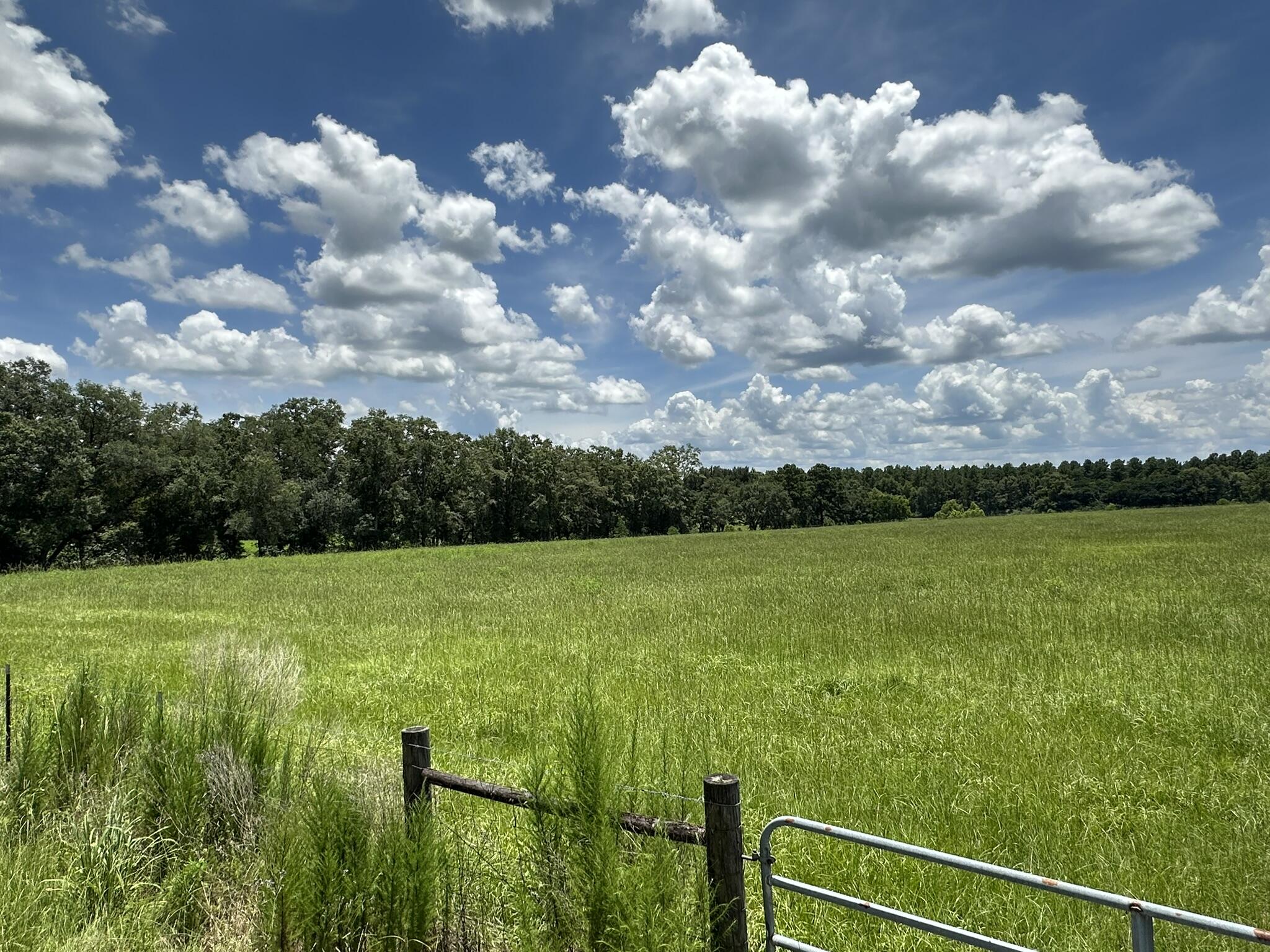 27.8+/- Acres | Hub Presley Road | North Walton CountyThis 27.8+/- acre offering includes two contiguous parcels along Hub Presley Road, presenting a rare opportunity for acreage of this size in North Walton County. The property features a balance of natural hardwoods and open pasture areas, providing privacy and room to expand. The land has paved county road access and power nearby, making it a solid candidate for future development, agricultural use, or long-term hold. There are no known deed restrictions, and the property lies within the Paxton school zone. Large parcels like this in the northern part of the county are becoming increasingly difficult to find. Buyer to perform all due diligence related to land use, dimensions, utilities, and access.