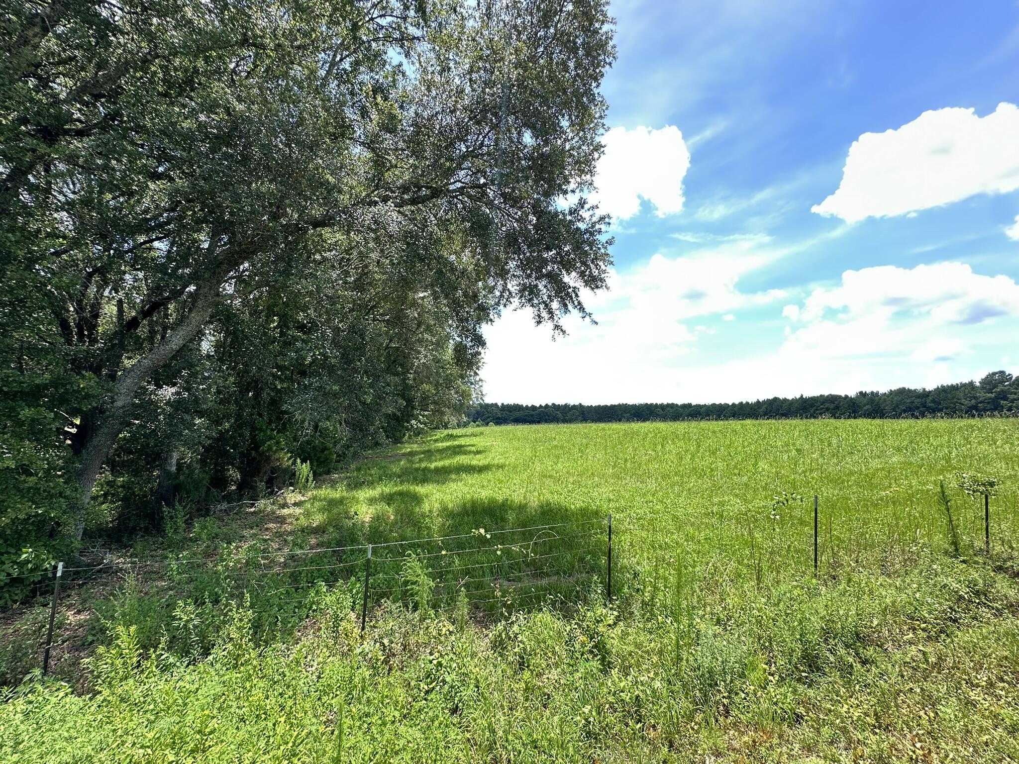 NO RECORDED SUBDIVISION - Land