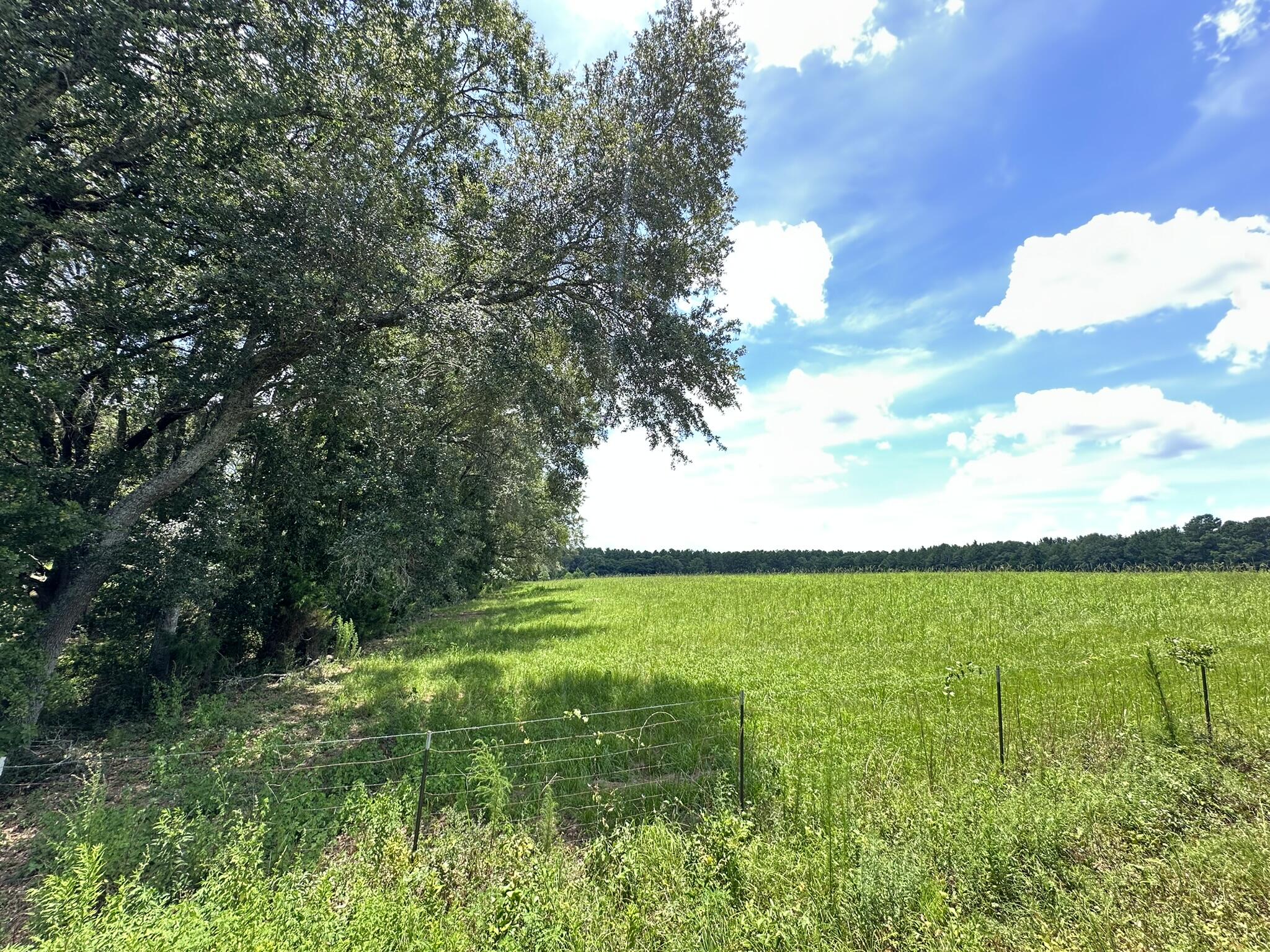 NO RECORDED SUBDIVISION - Land