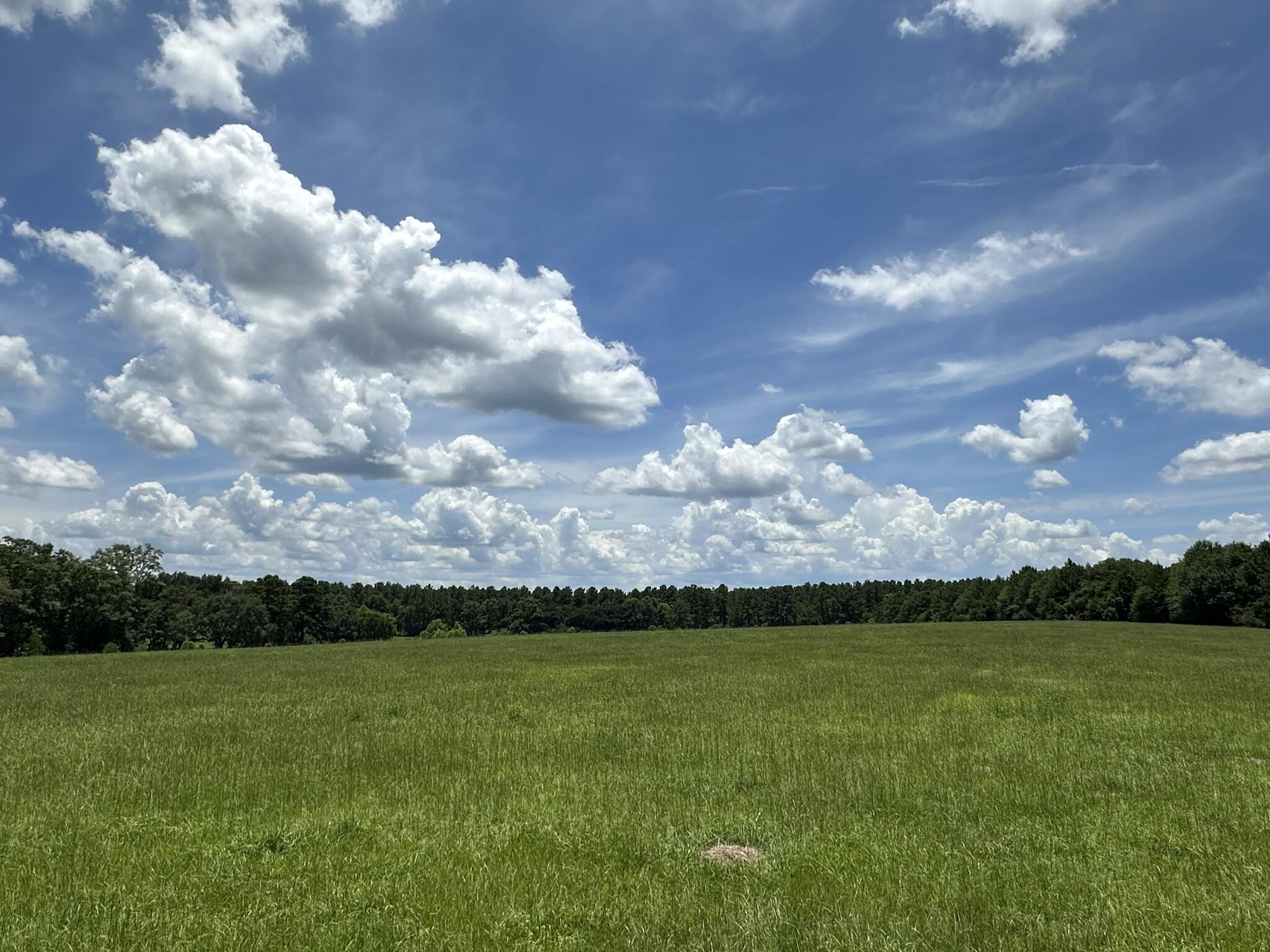 NO RECORDED SUBDIVISION - Land