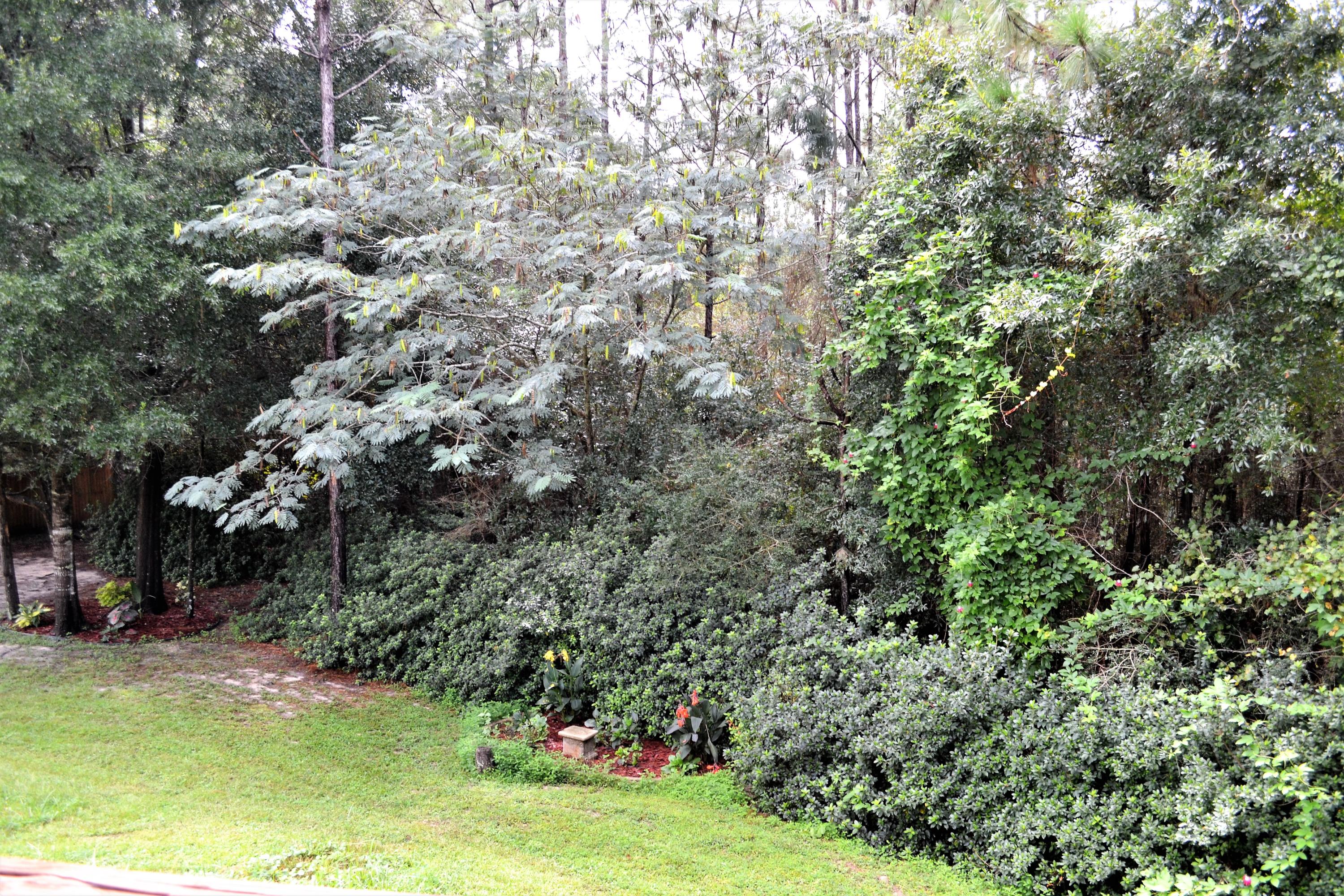 SILVER OAKS PH II - Residential