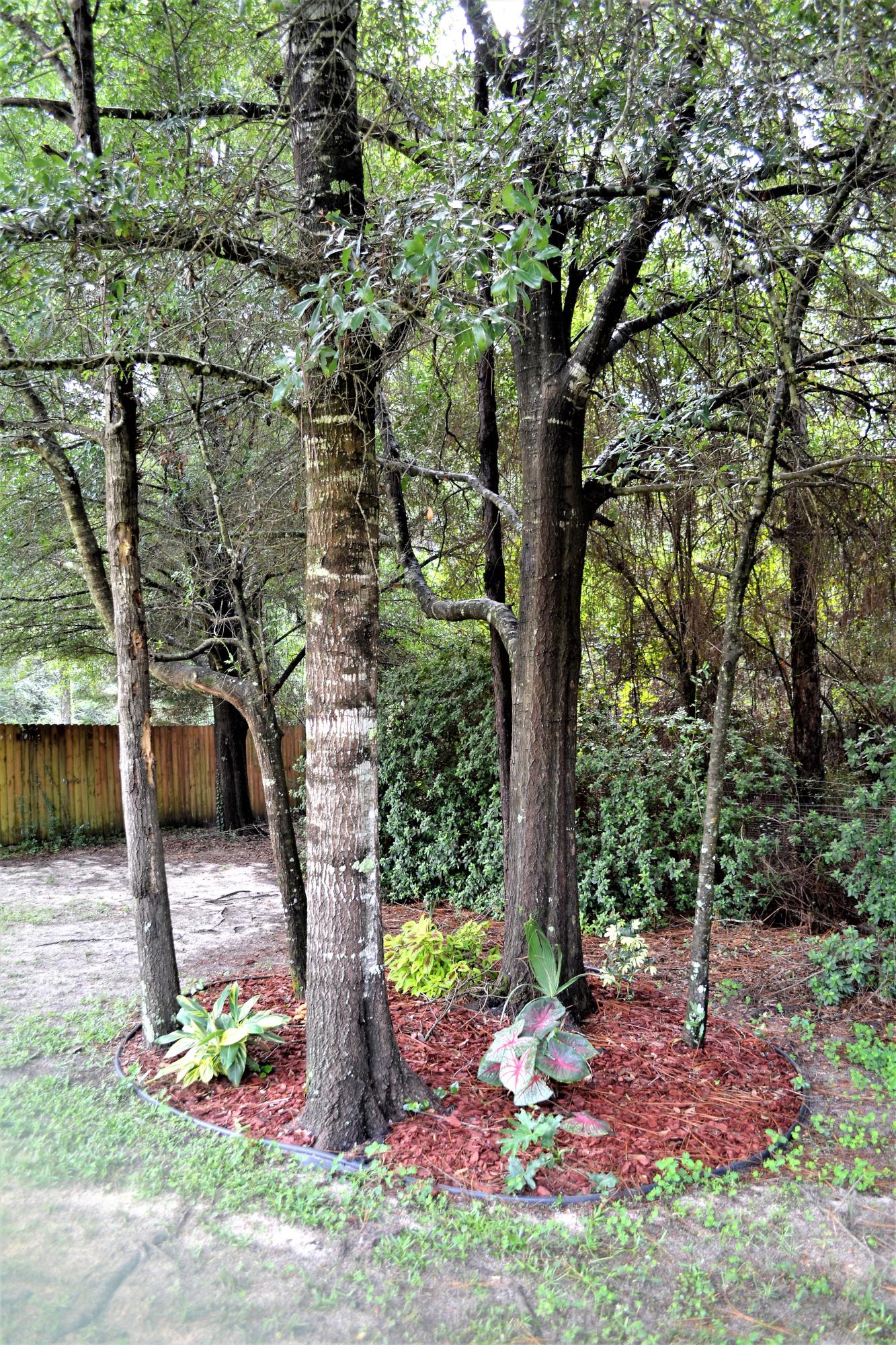 SILVER OAKS PH II - Residential