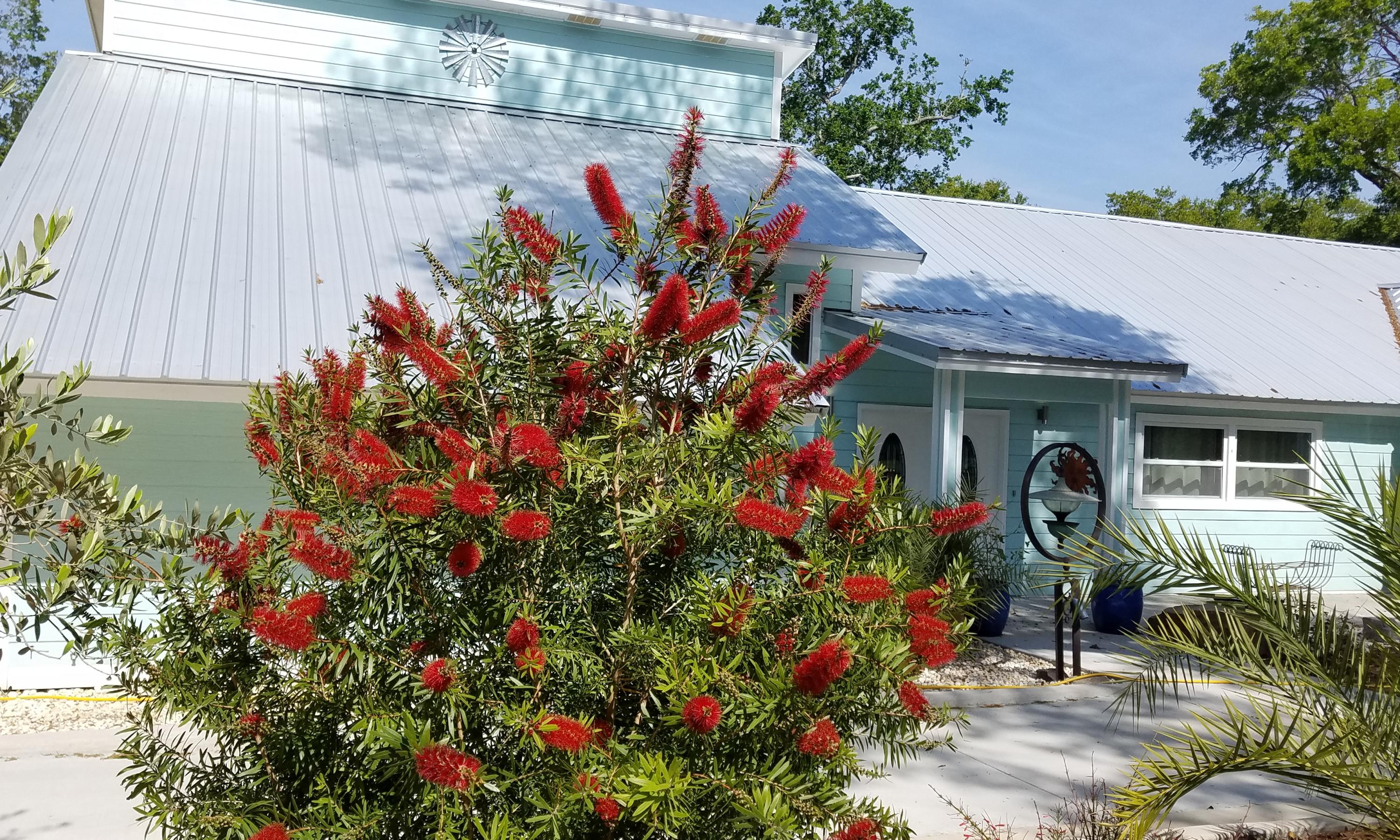 BAL ALEX ESTATES - Residential