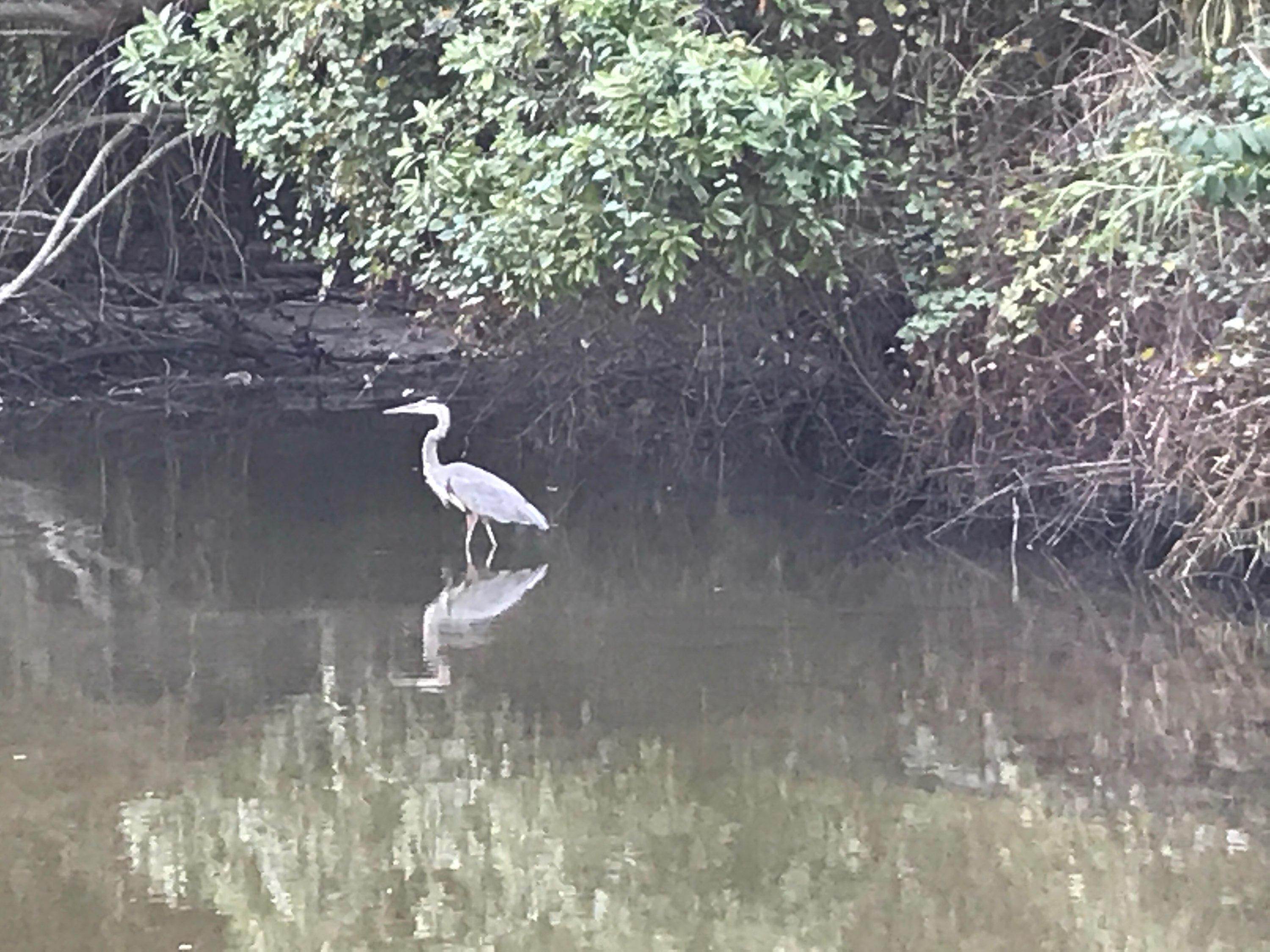 BAL ALEX ESTATES - Residential