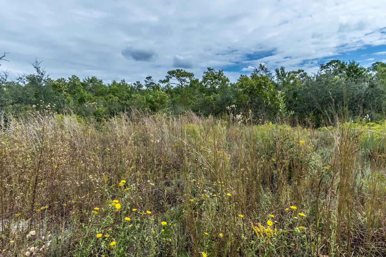TOPSAIL VILLAGE - Residential