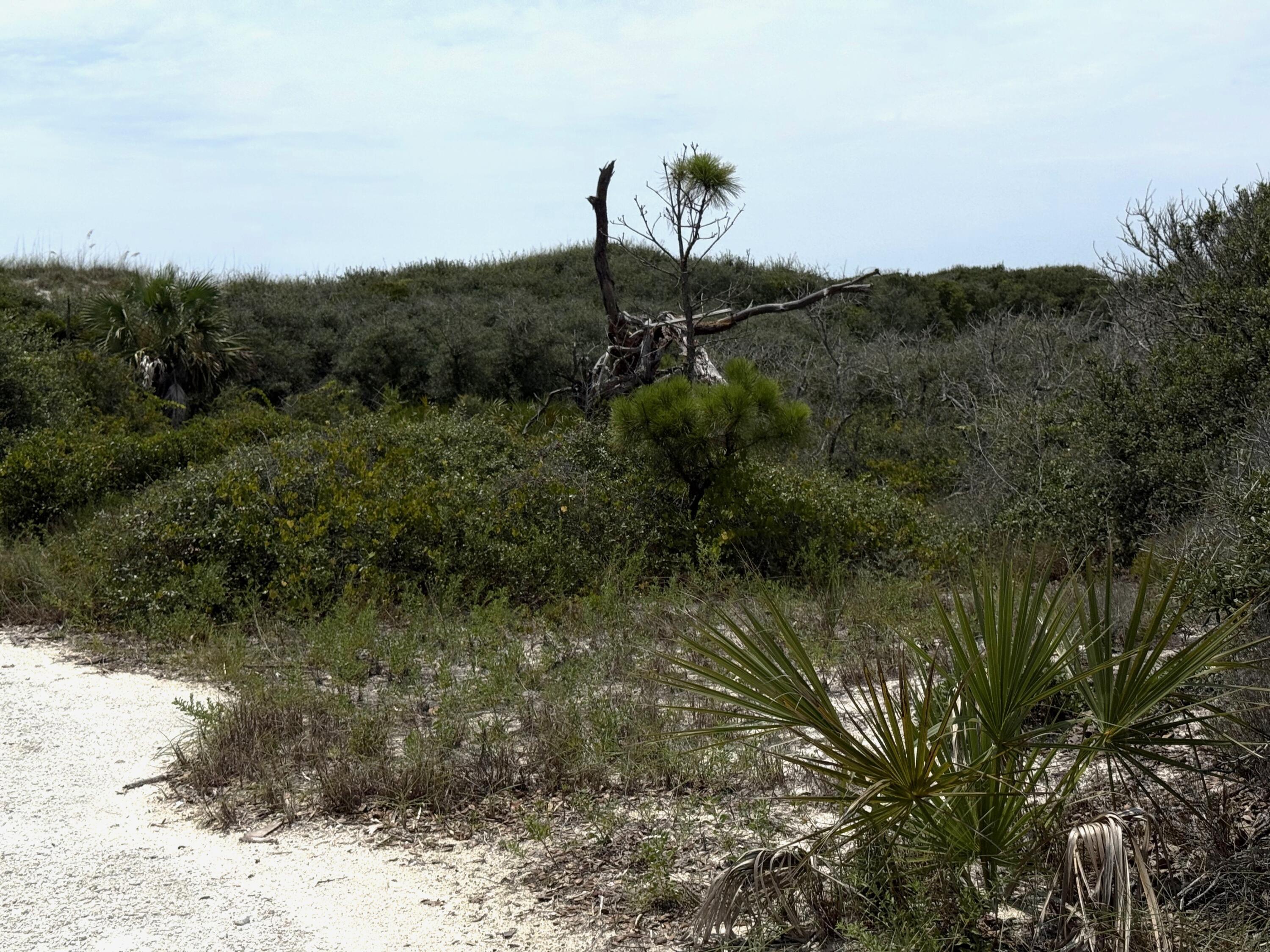 No Named Subdivision - Land