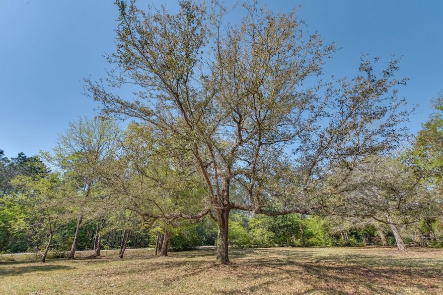 The perfect opportunity for a builder or someone dreaming about building their forever home on property full of hard wood trees.  This gorgeous partially cleared lot in Milton has canal access and has been partially cleared, only leaving the beautiful hard wood trees for you to choose from!  Owners are willing to sell with lot next door (parcel ID:08-1S-28-5510-00000-1060) for a combined discounted rate.