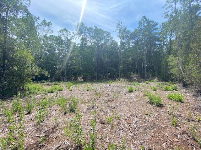 DAUGHETTES AMENDED - Land