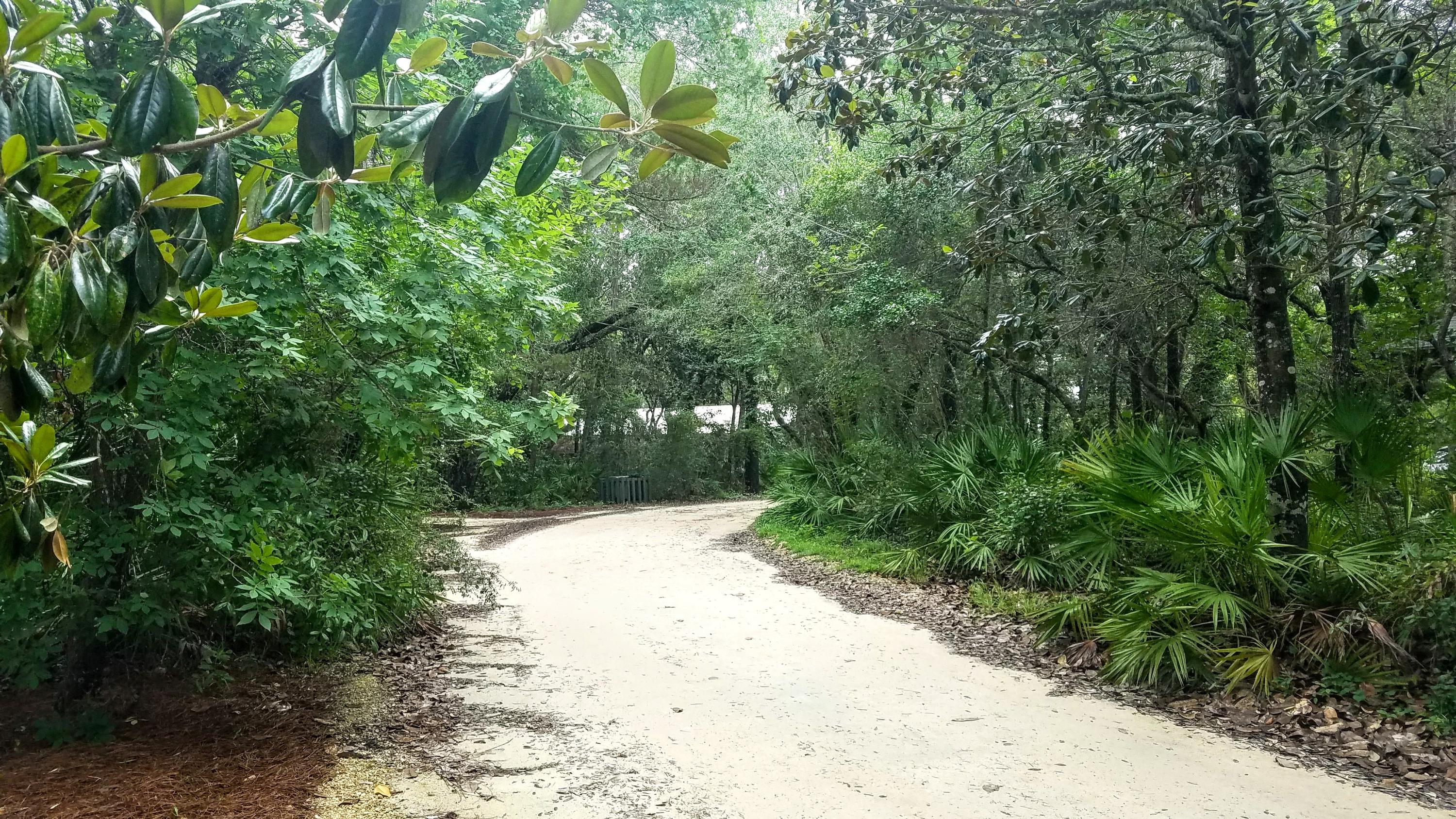 SEAGROVE 5TH ADDN - Residential