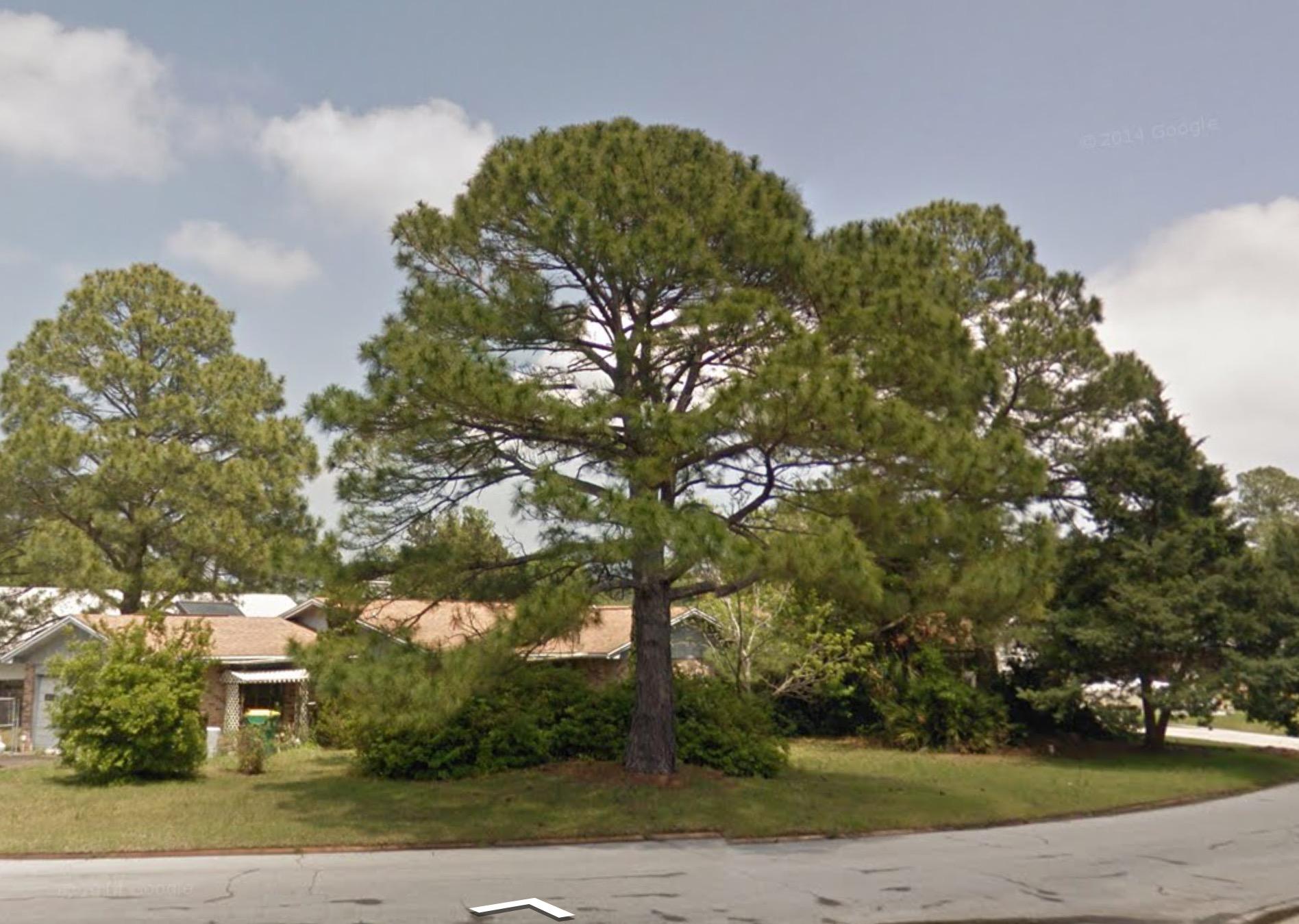 PALM ESTATES UNIT 2 - Residential