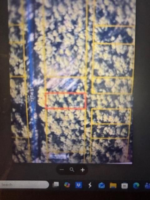 Lot 17 13th Street Santa Rosa Beach FL 32459