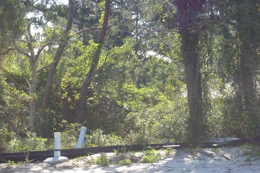 This lot would easily handle a 2 story home having 2,856 square feet of space if desired. Walton County allows up to 4 stories or 50' high. There may be possible Gulf Views at this height, but not guaranteed. There are only 9 lots in this subdivision. It is just .3 of a mile to the beach access area. This is a short sale being sold ''as is'' and is dependent upon bank approval.