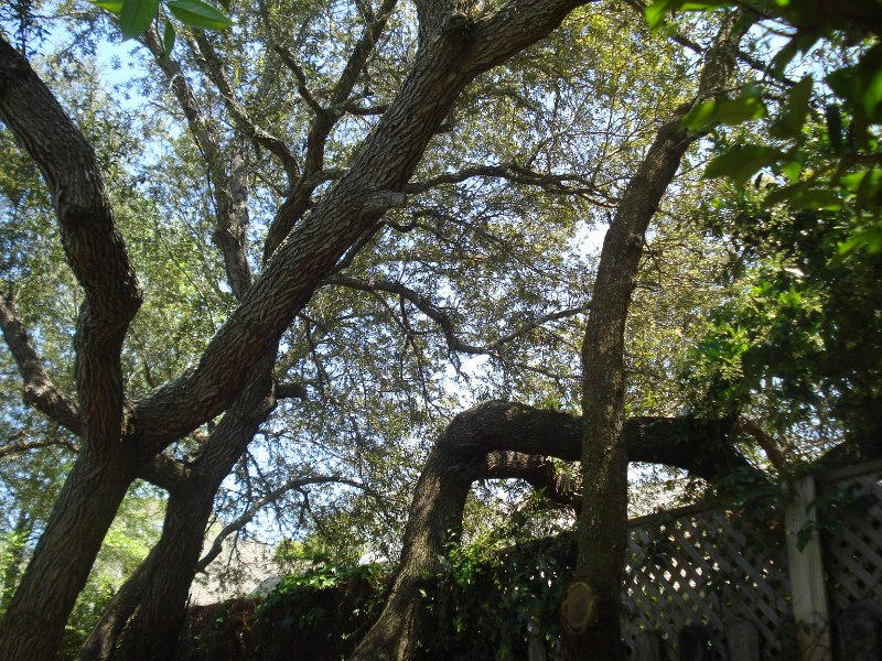 LAKE POINTE - Residential