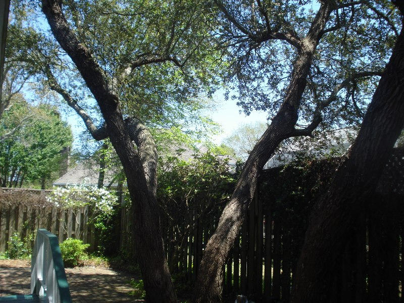 LAKE POINTE - Residential