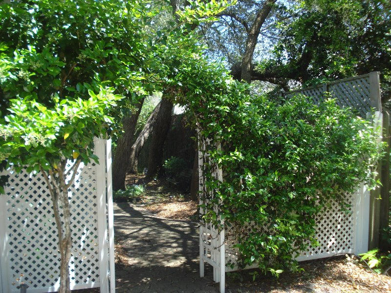 LAKE POINTE - Residential