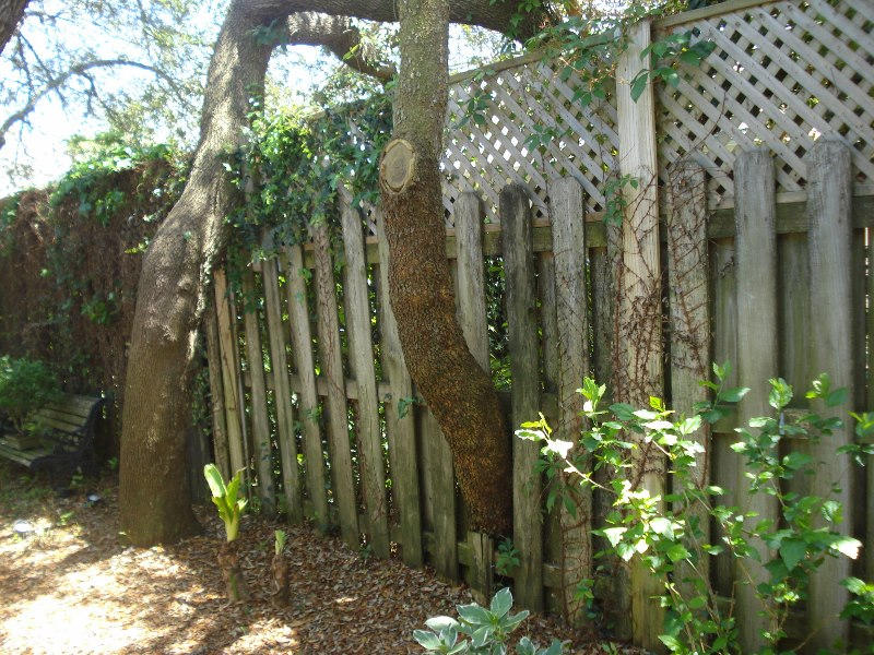 LAKE POINTE - Residential