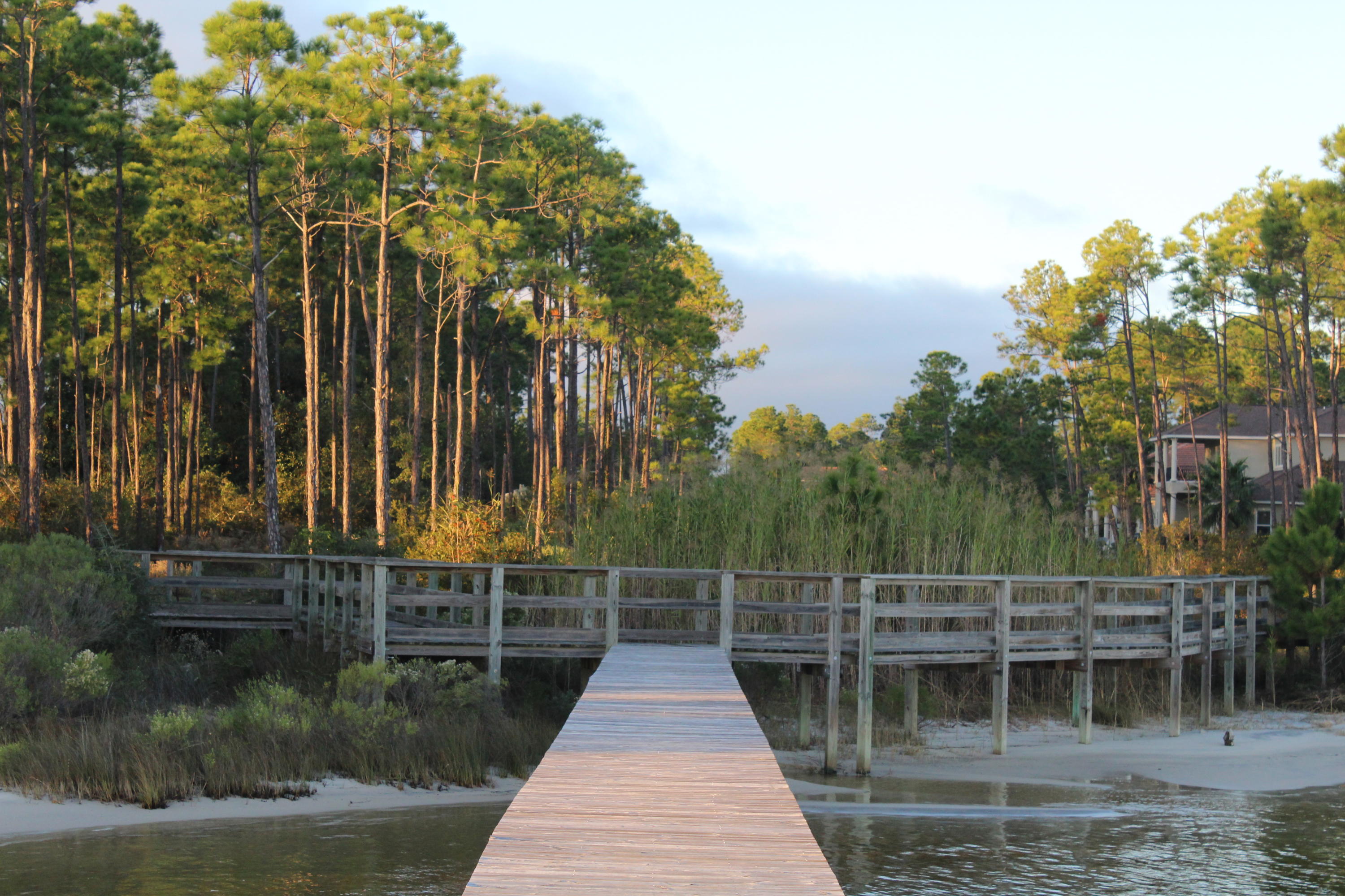 PALMETTO LAKE PRESERVE - Land