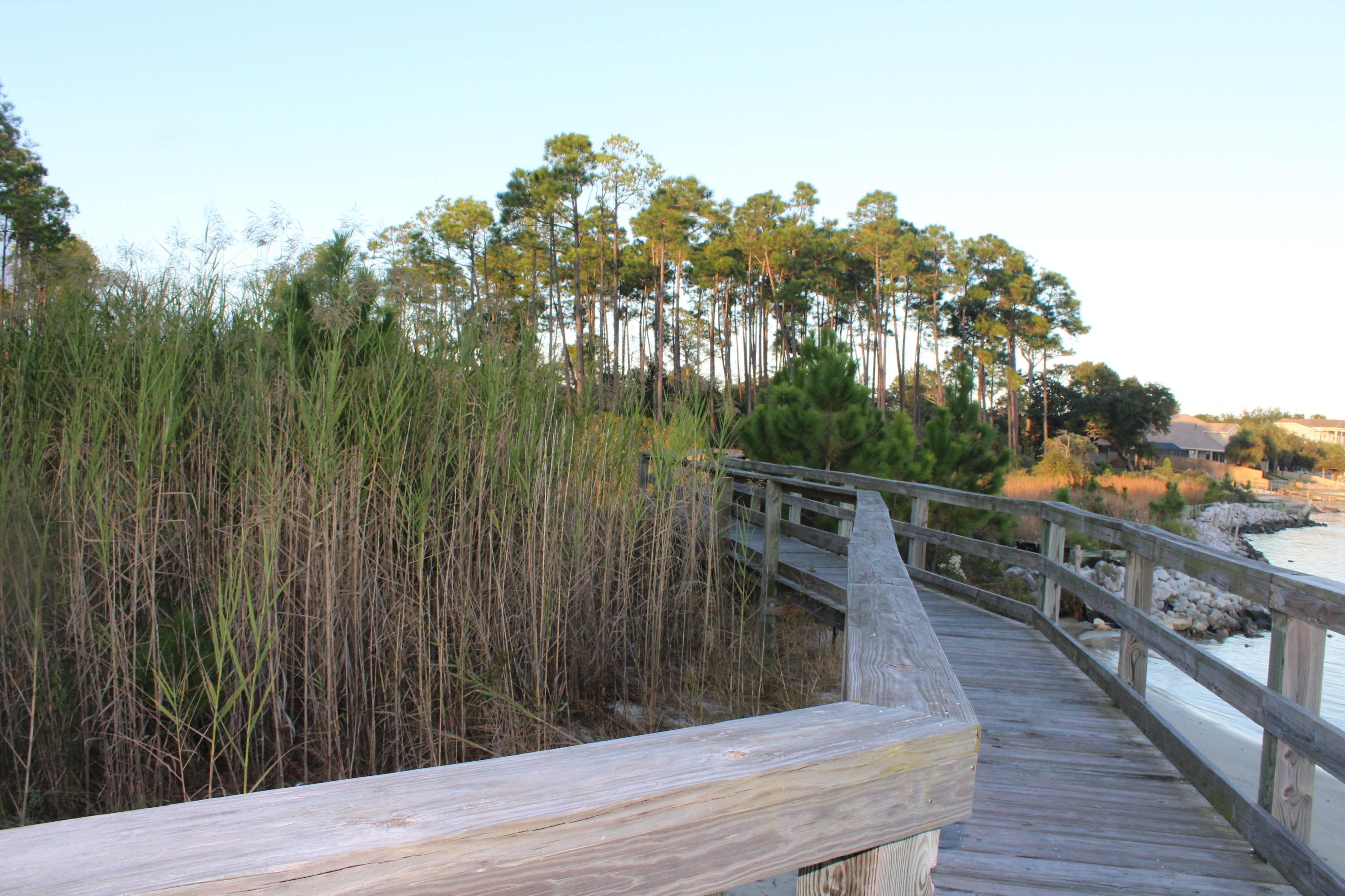 PALMETTO LAKE PRESERVE - Land