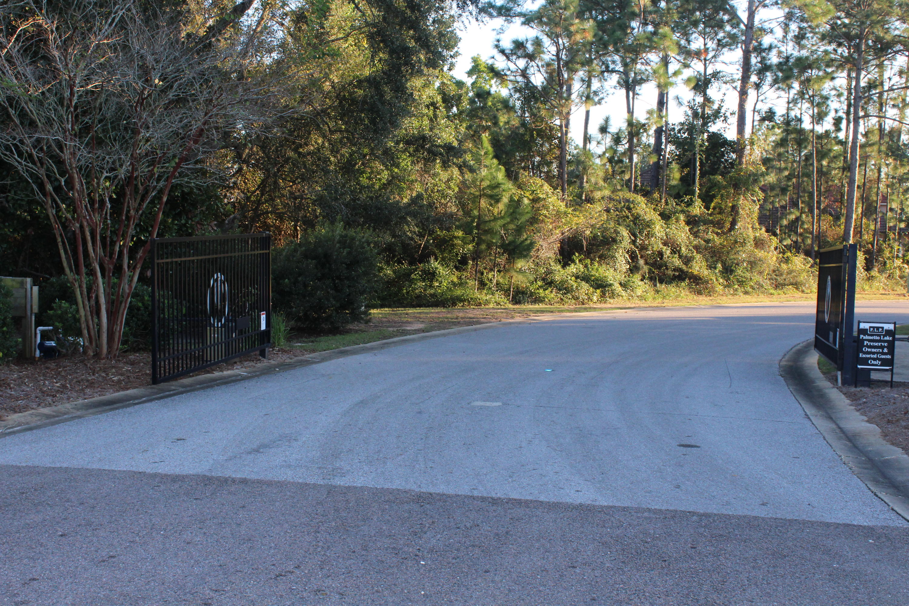 PALMETTO LAKE PRESERVE - Land