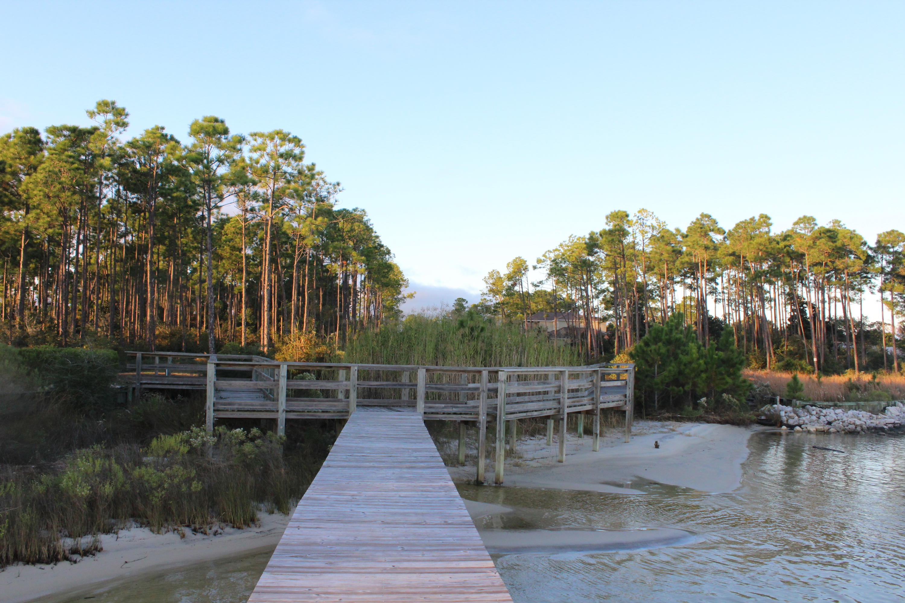 PALMETTO LAKE PRESERVE - Land