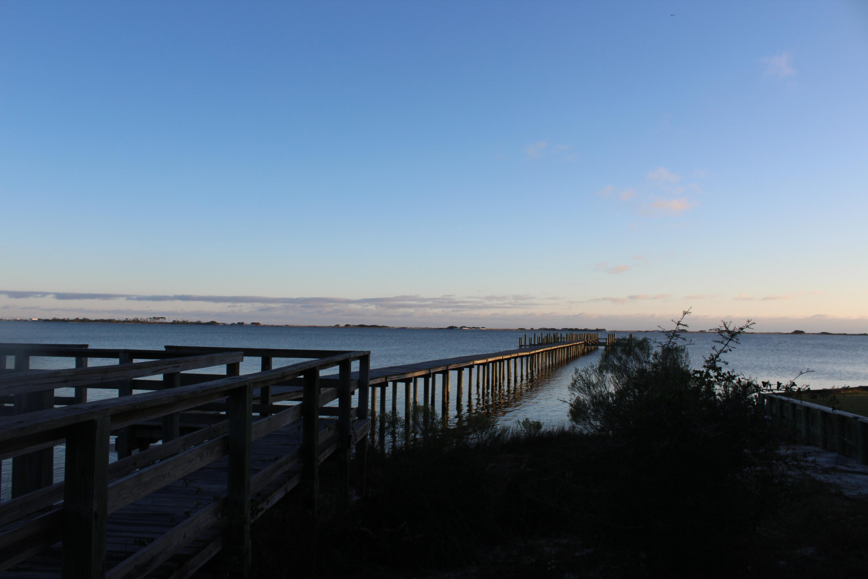 PALMETTO LAKE PRESERVE - Land