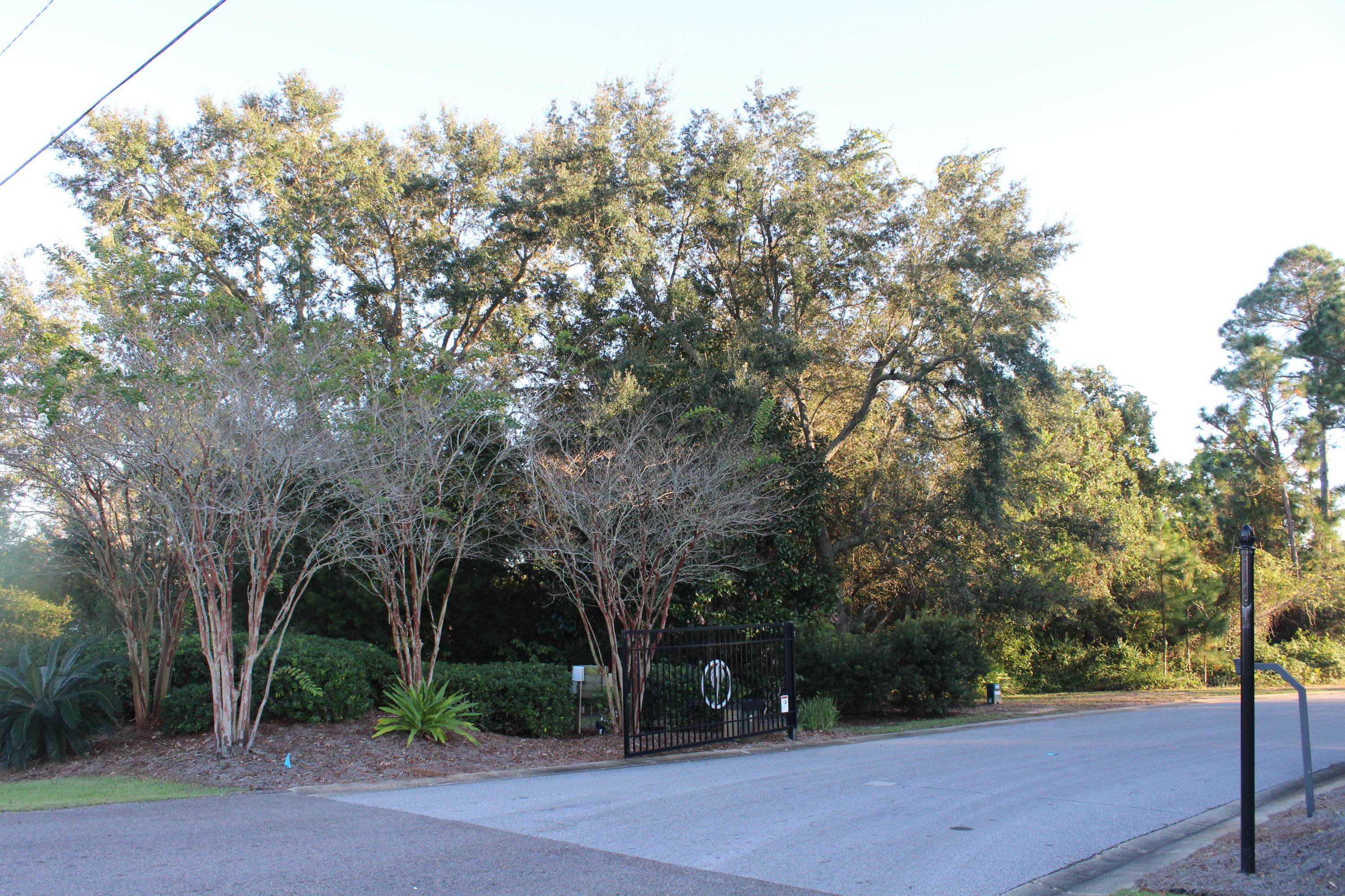 PALMETTO LAKE PRESERVE - Land