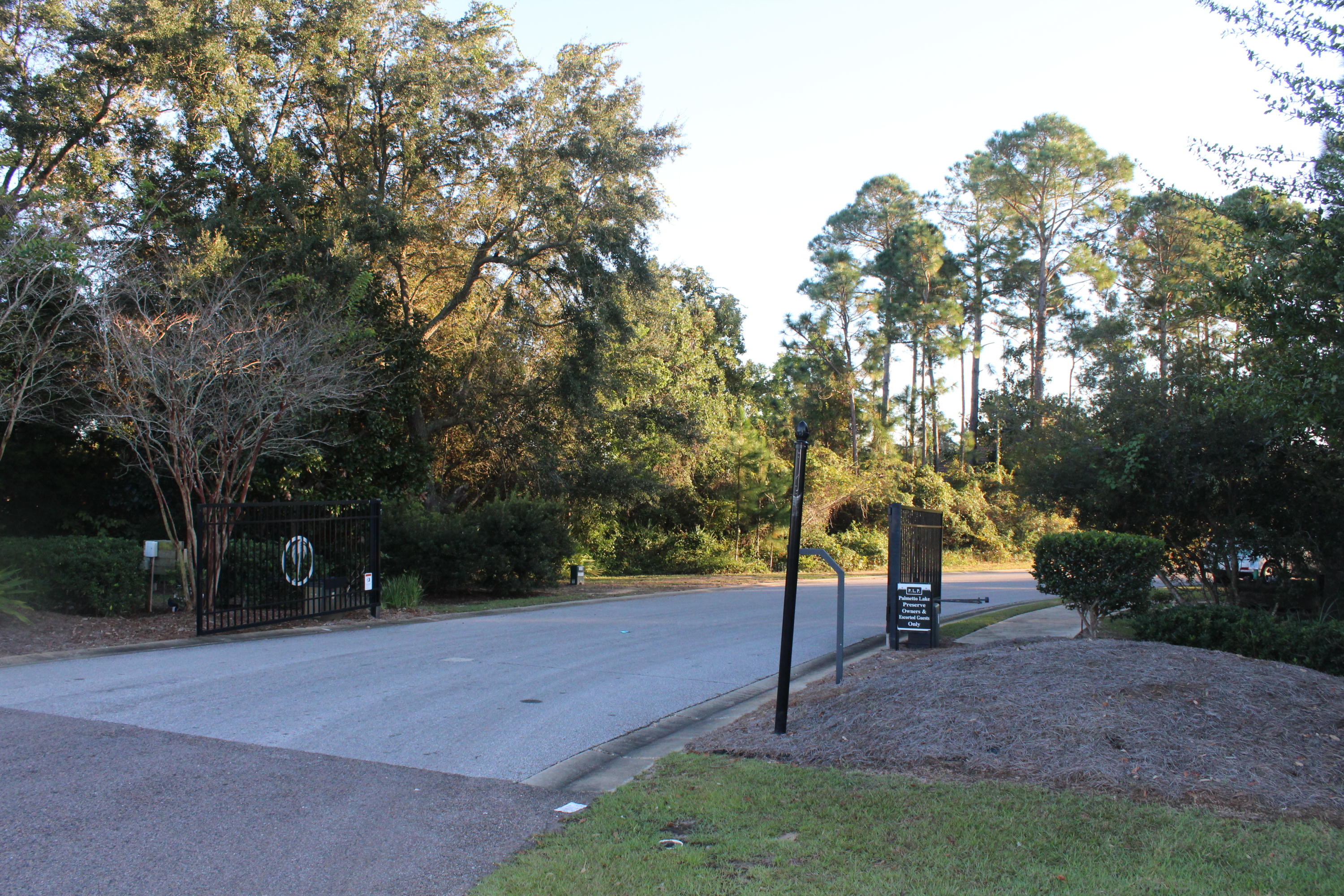 PALMETTO LAKE PRESERVE - Land