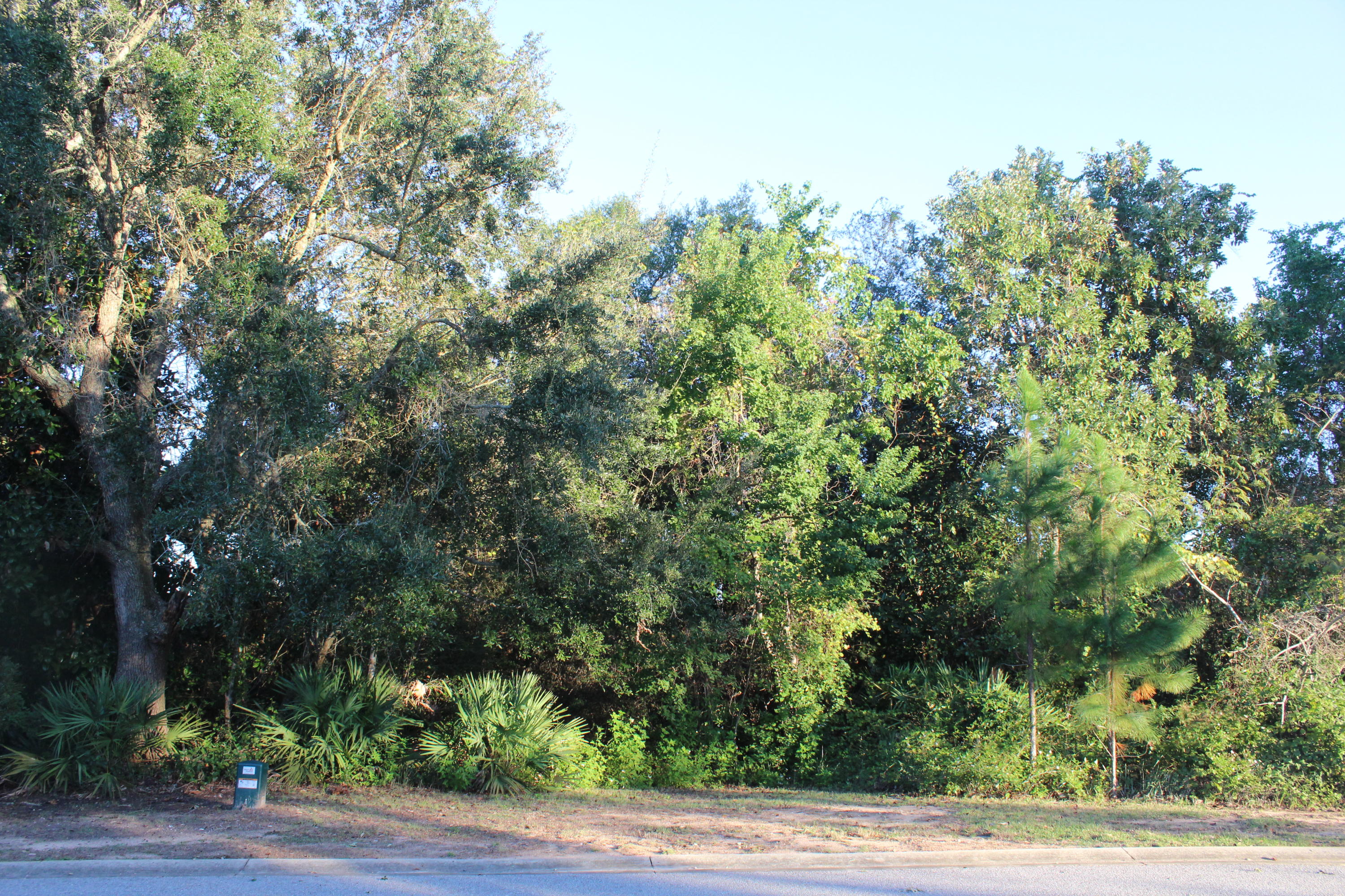 PALMETTO LAKE PRESERVE - Land