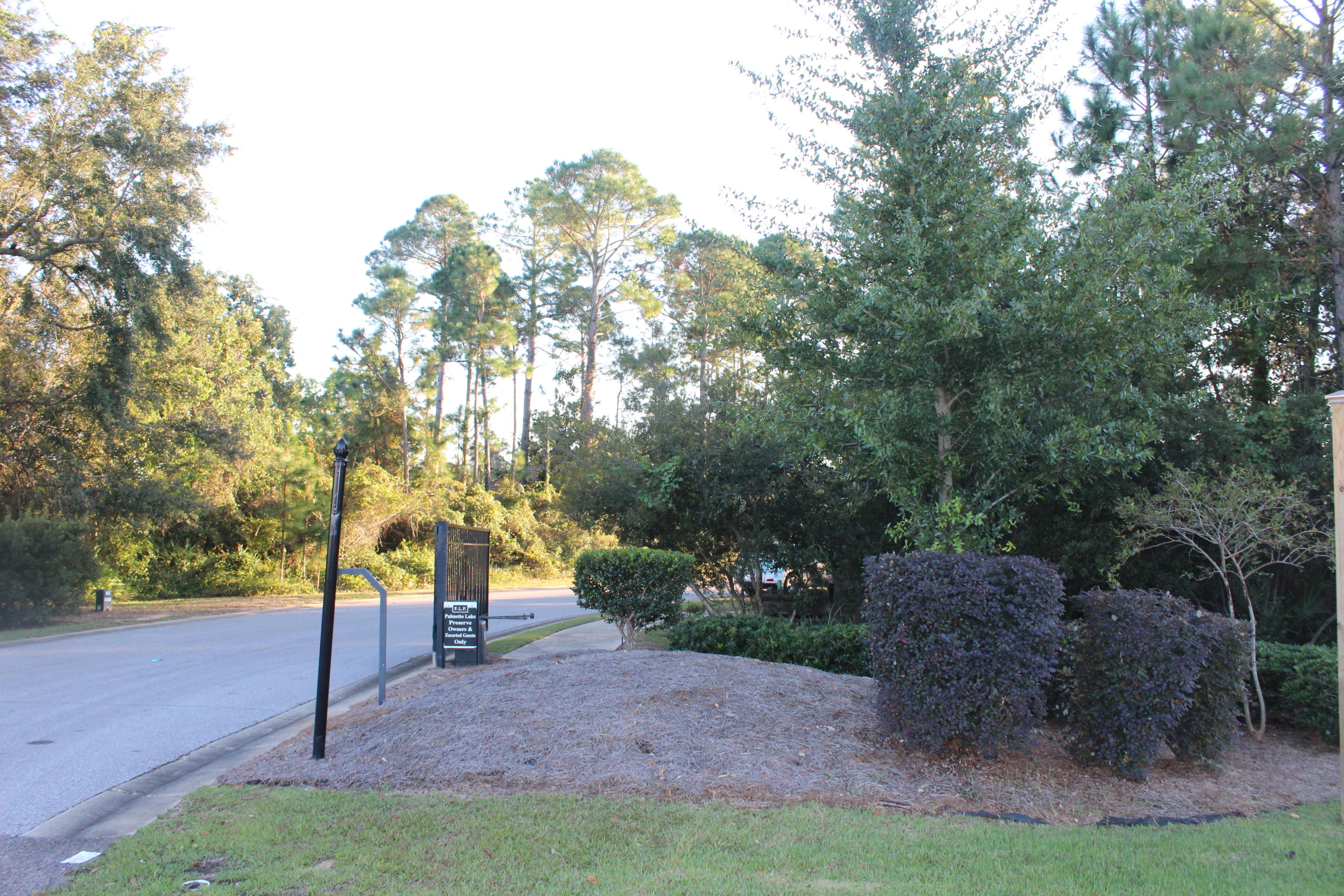 PALMETTO LAKE PRESERVE - Land