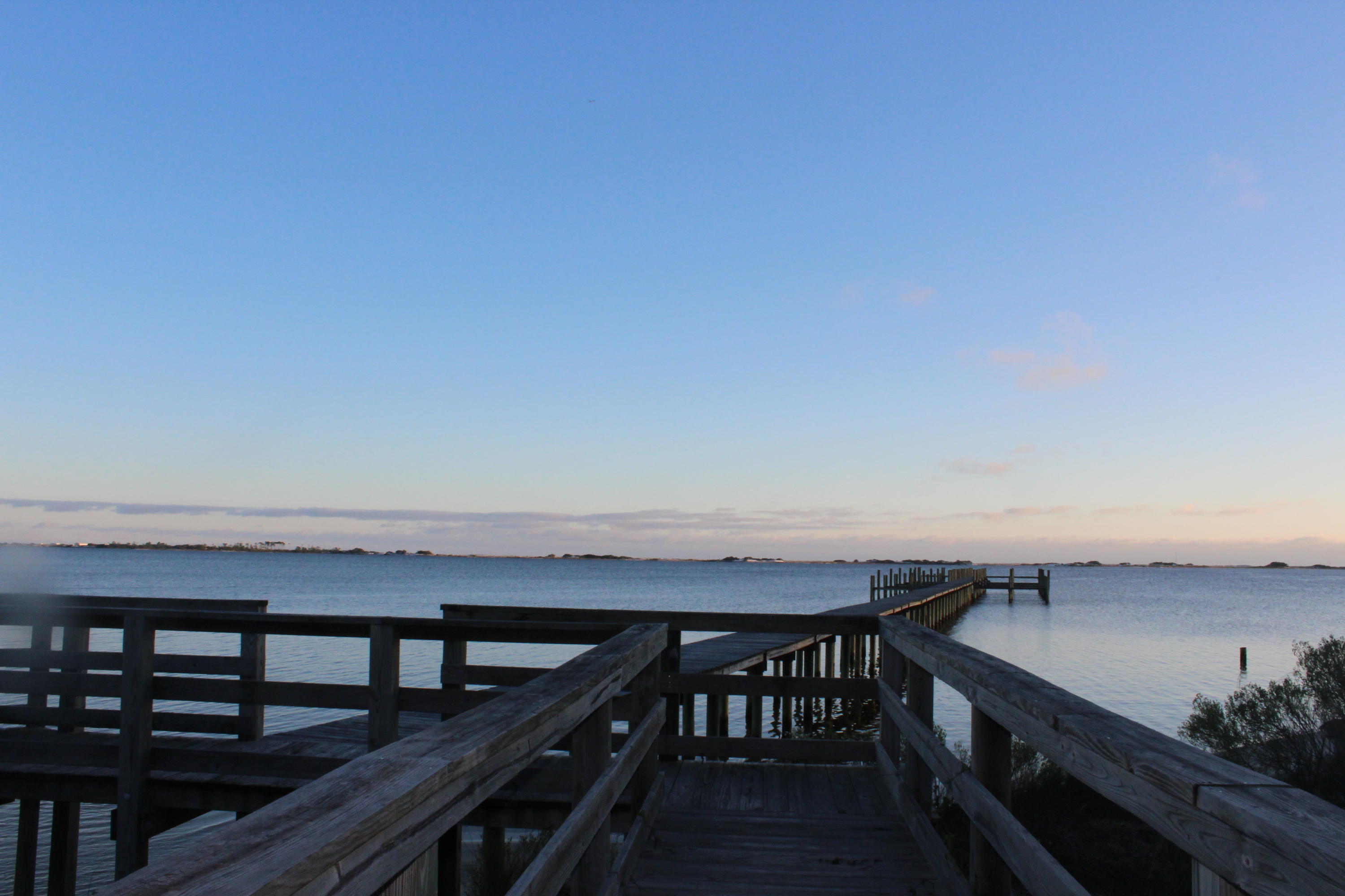 PALMETTO LAKE PRESERVE - Land