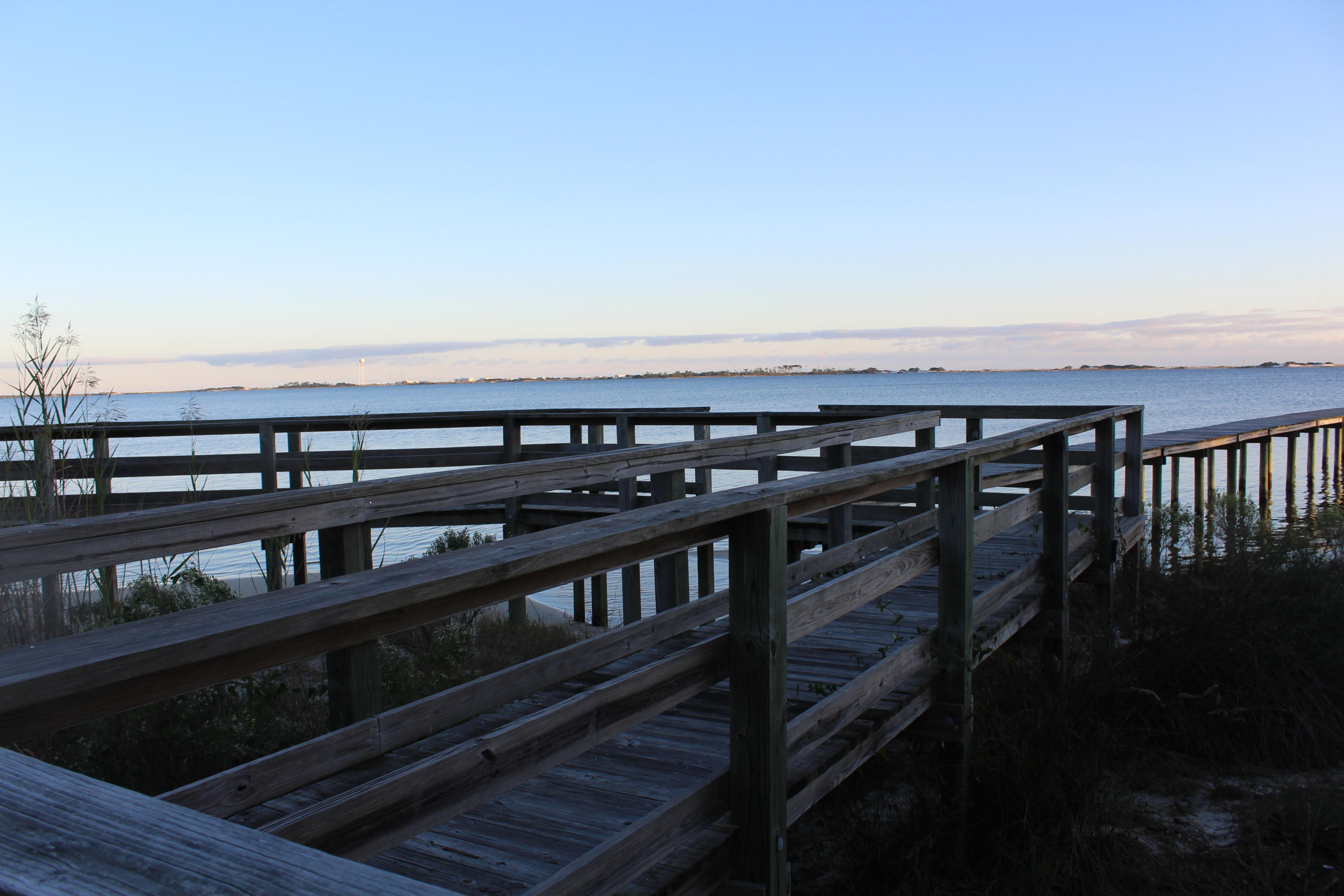 PALMETTO LAKE PRESERVE - Land