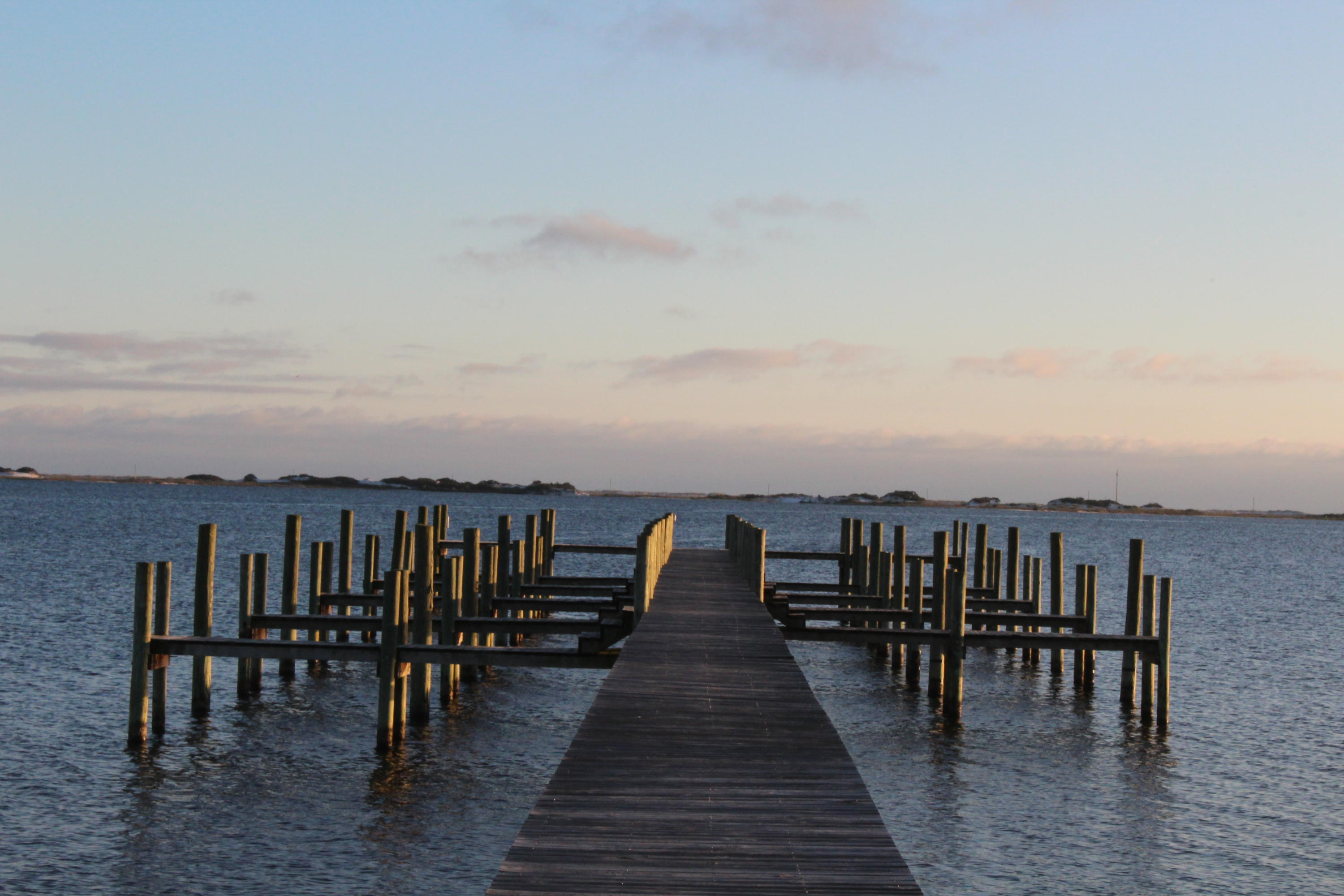 PALMETTO LAKE PRESERVE - Land