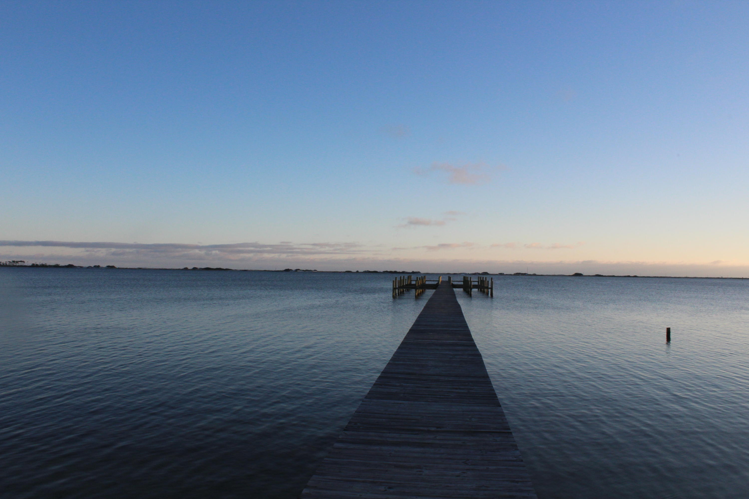 PALMETTO LAKE PRESERVE - Land